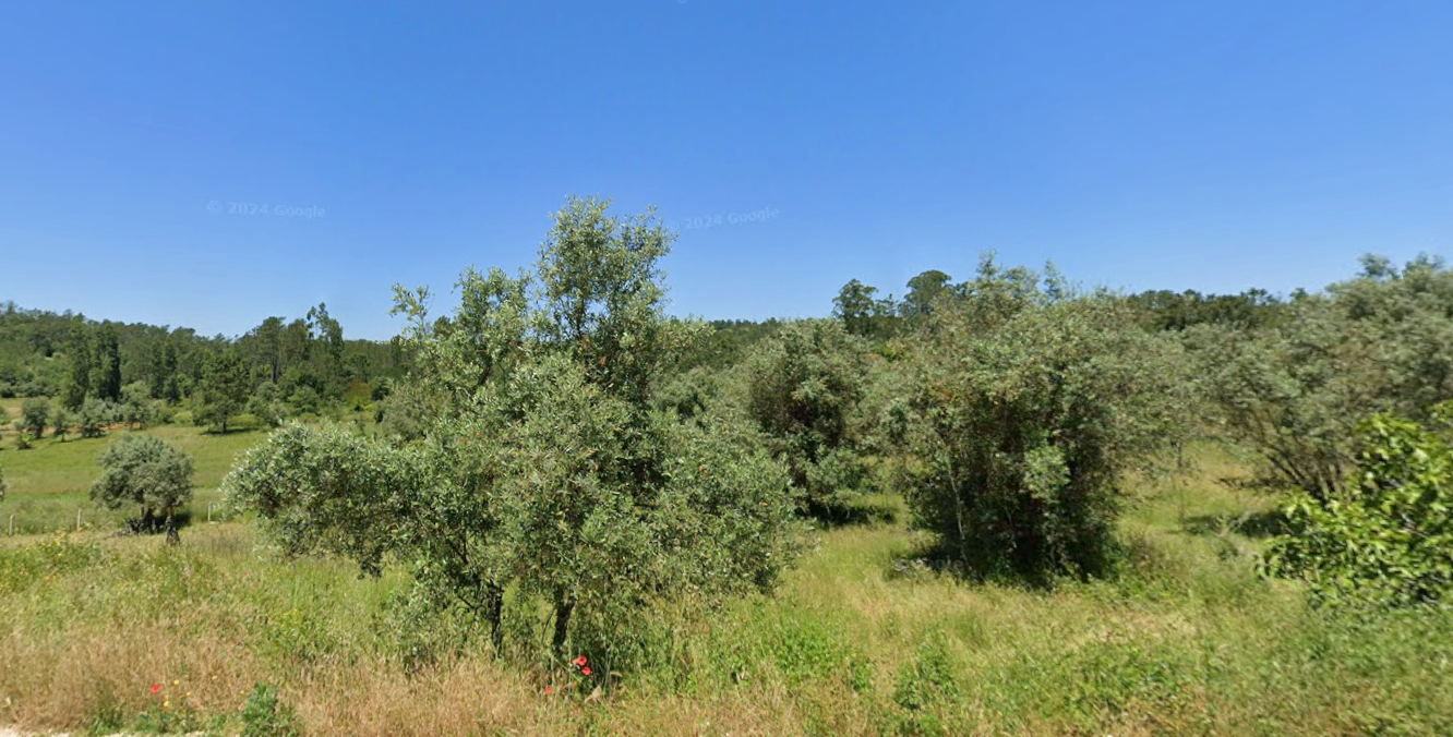 Terreno