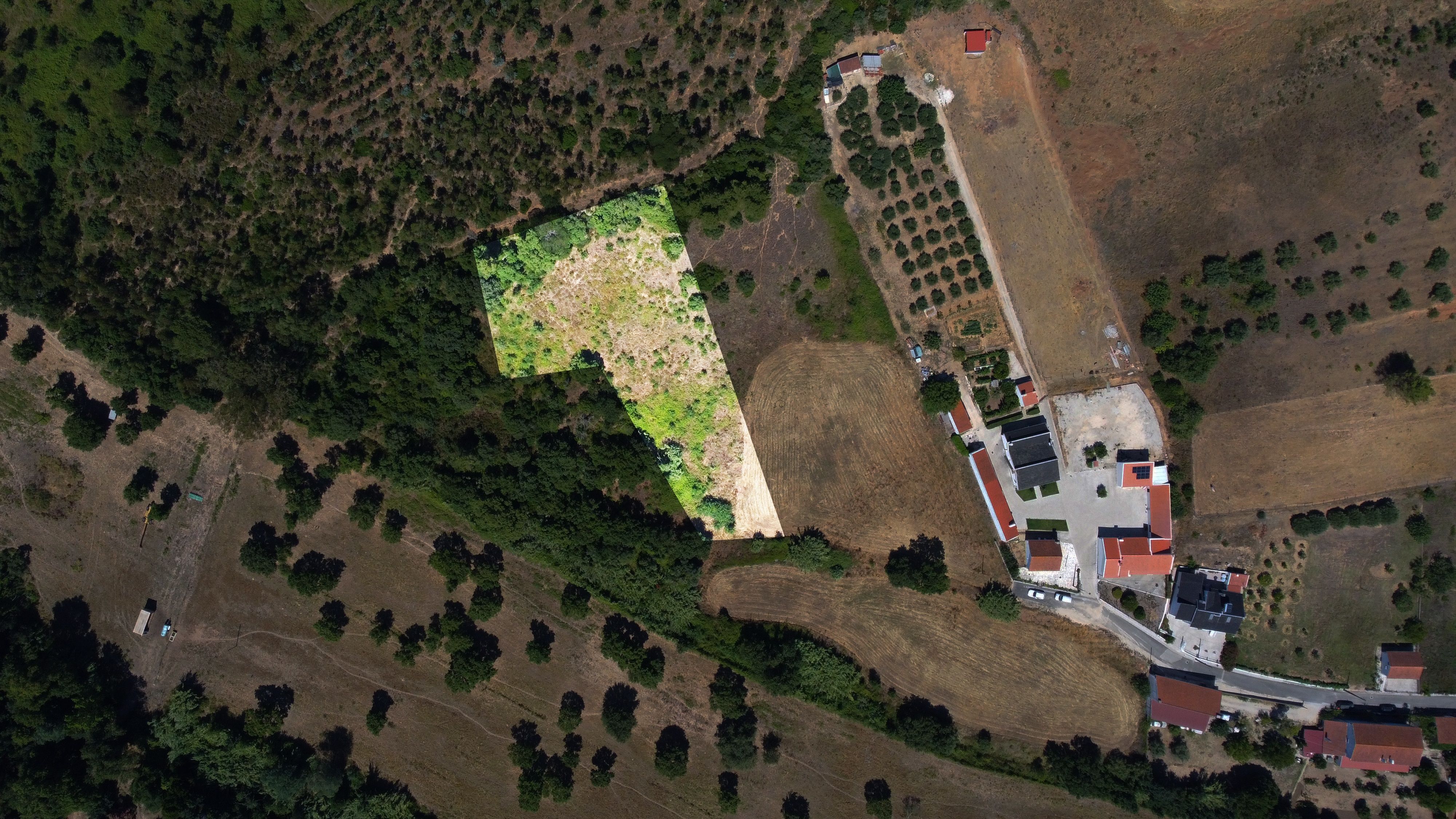 Terreno