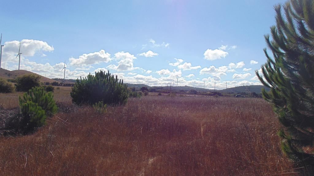 Terreno