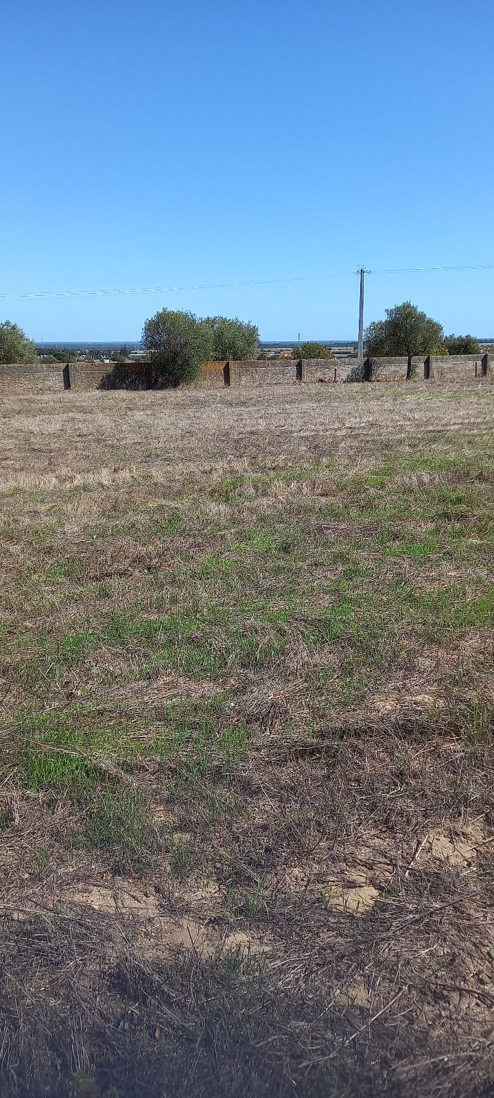 Terreno