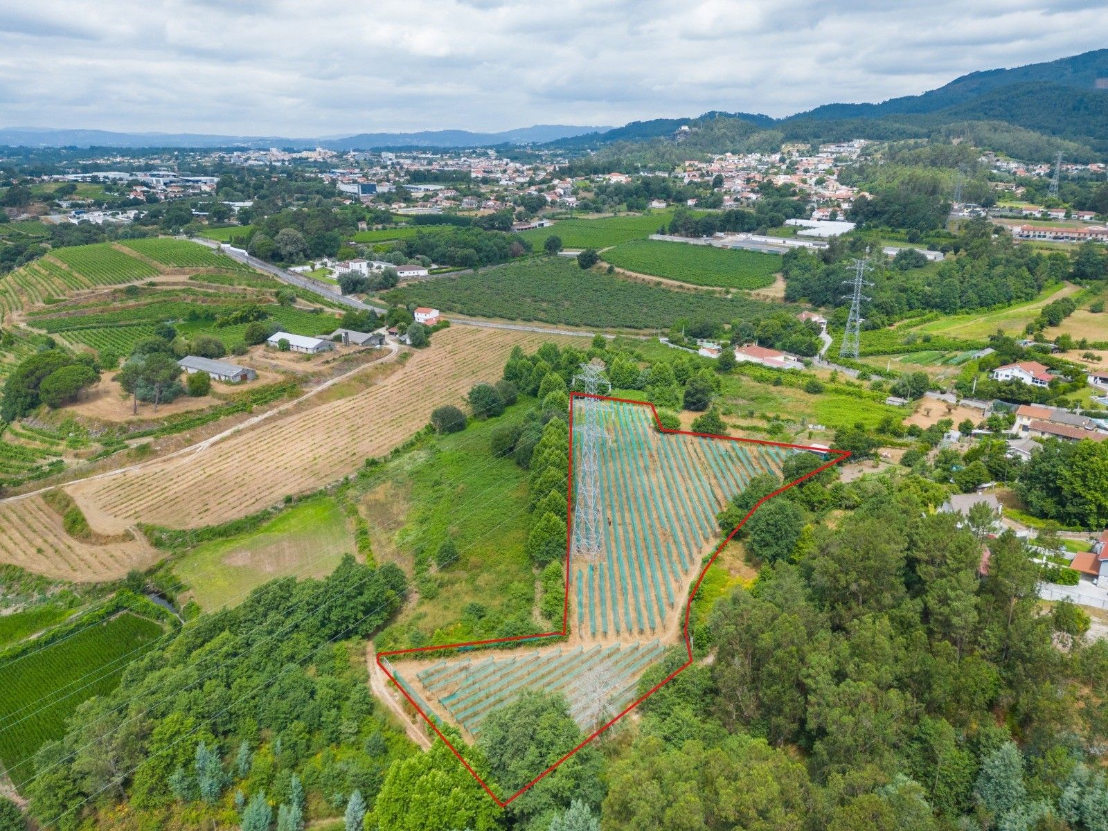 Terreno