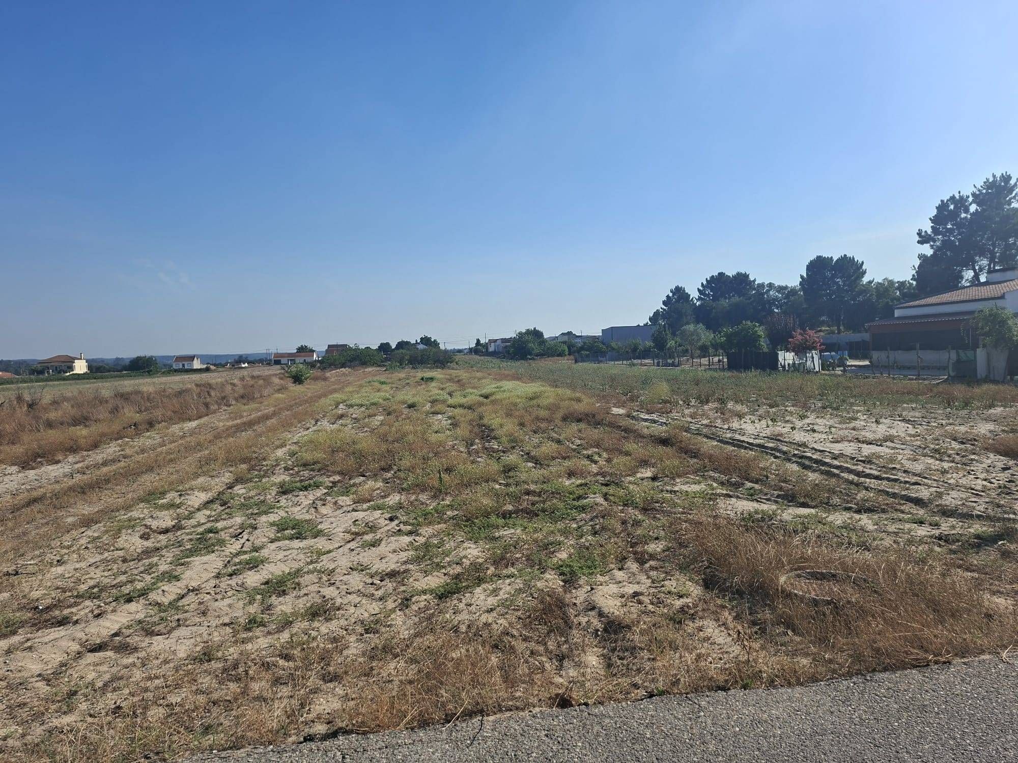 Terreno