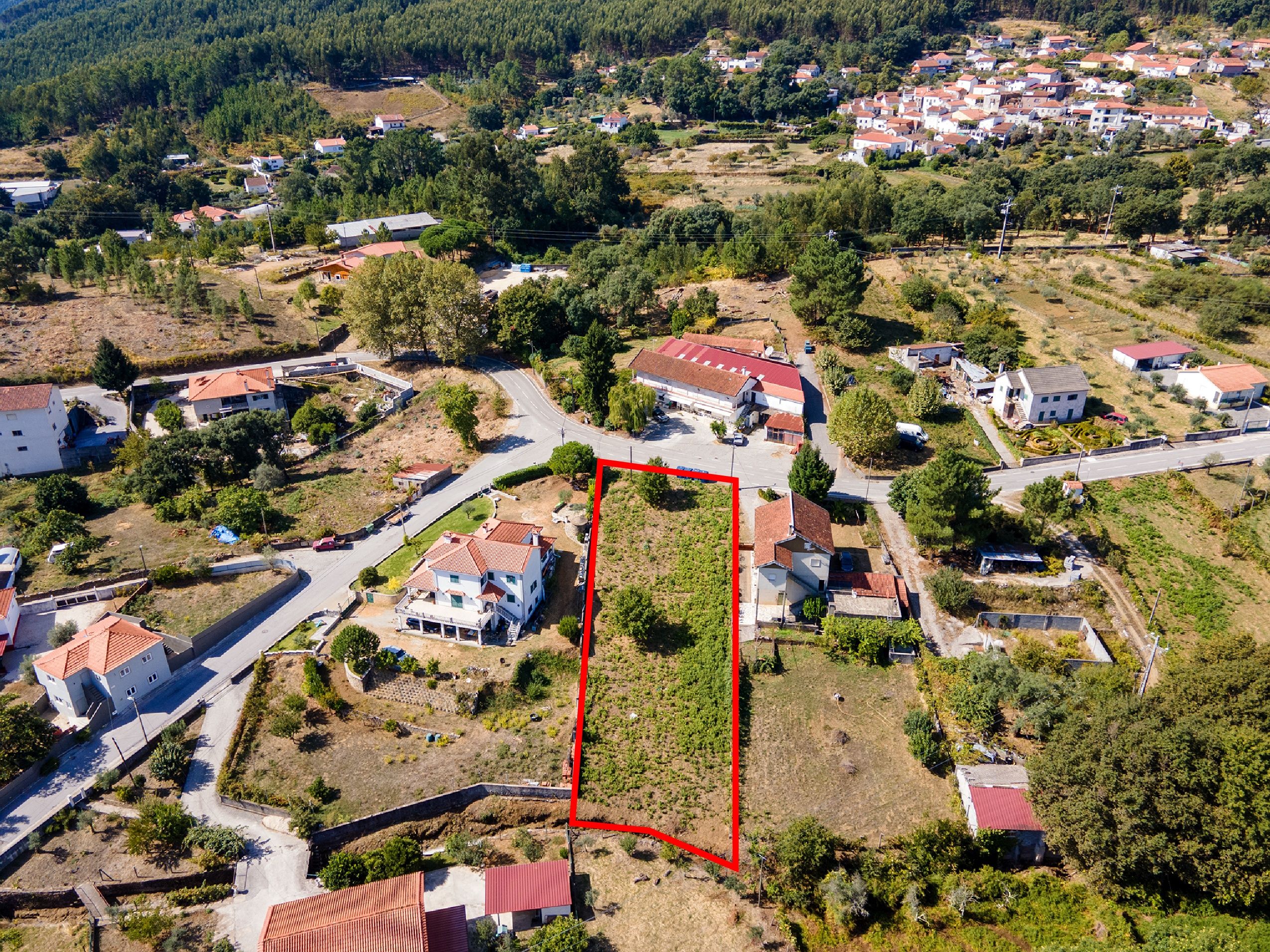 Terreno