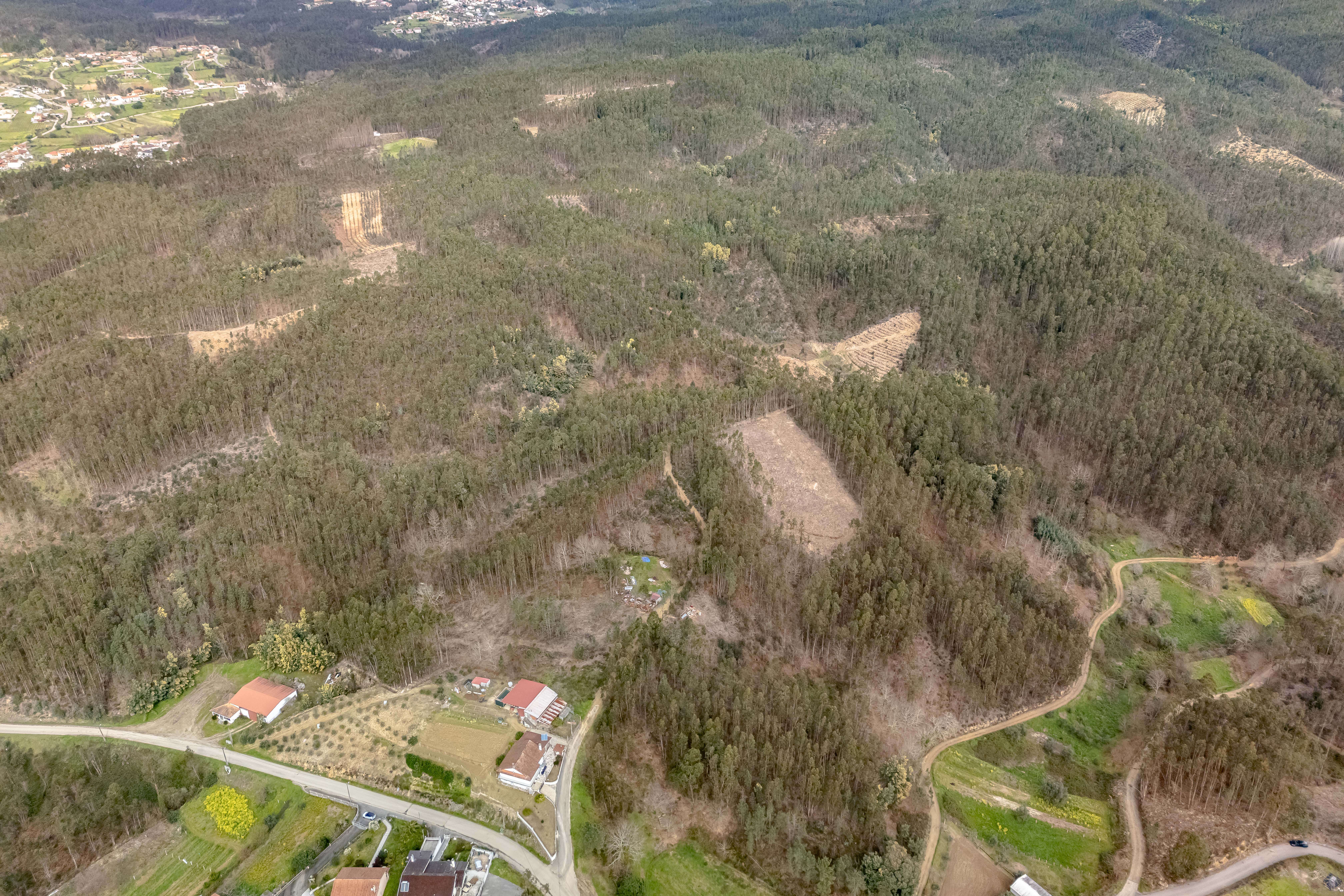 Terreno