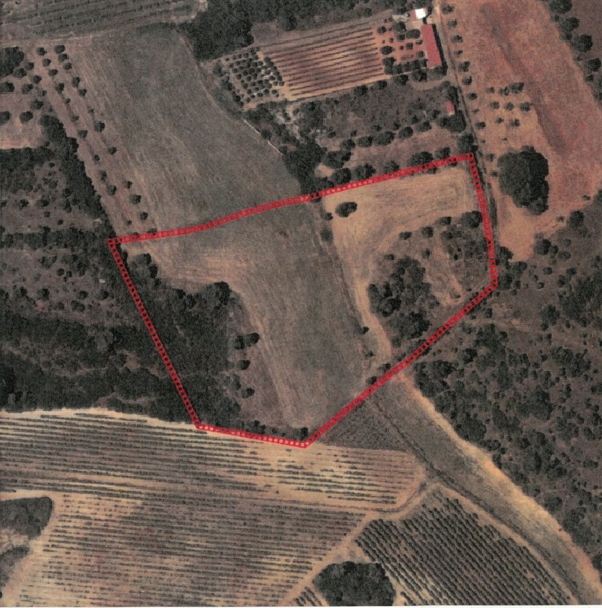 Terreno
