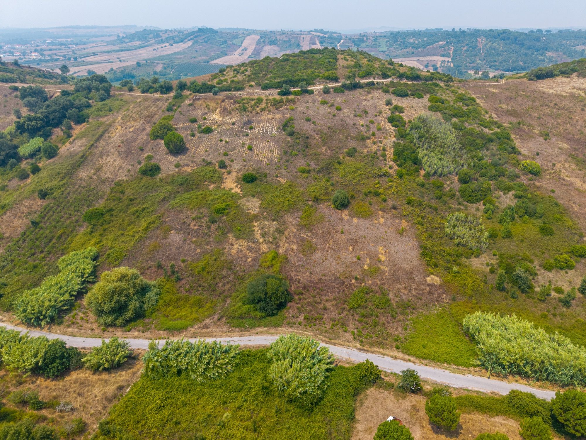 Terreno