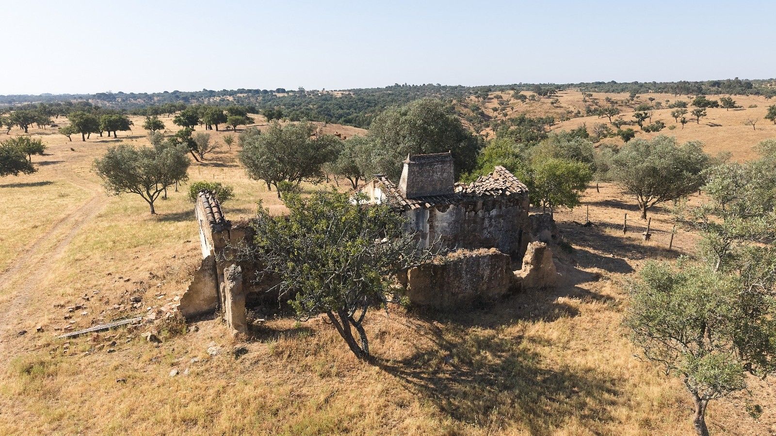 Terreno