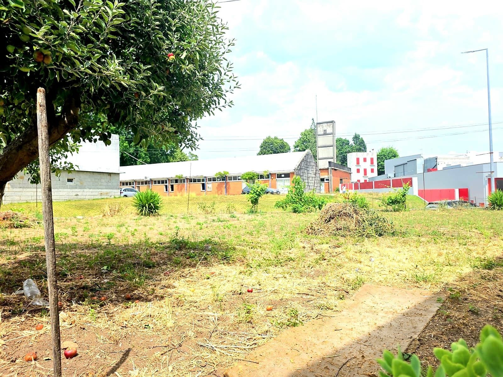 Terreno