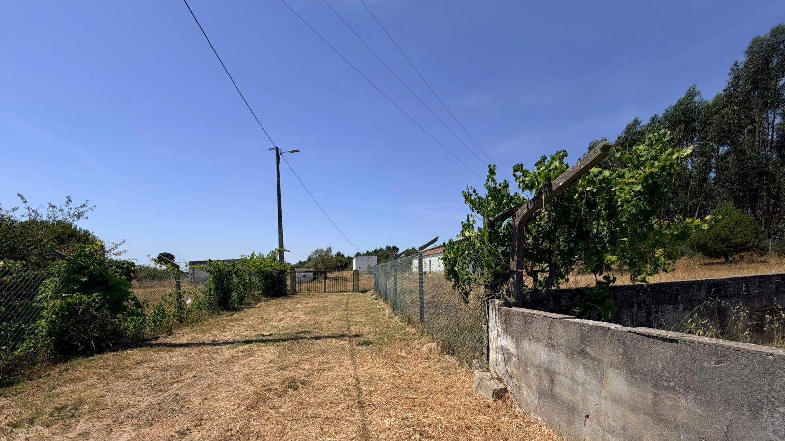 Terreno