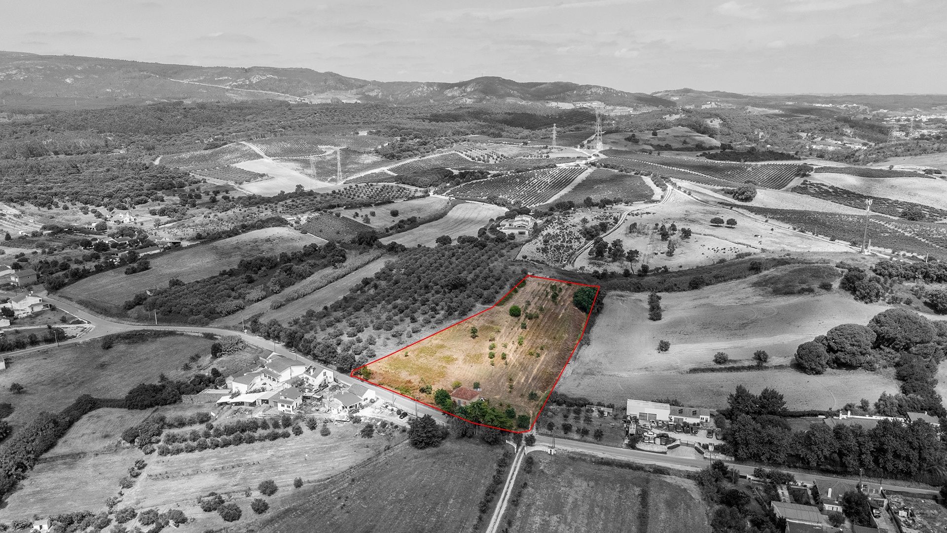 Terreno