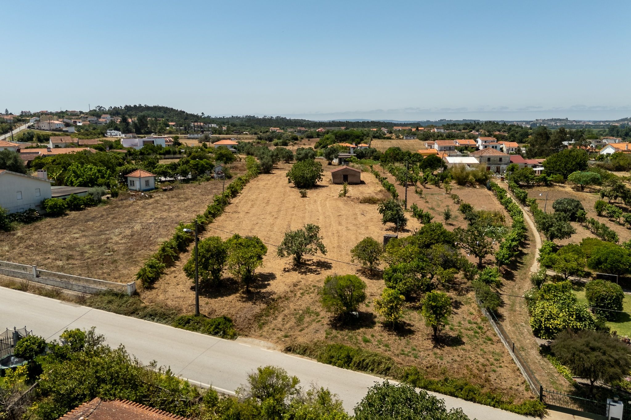 Terreno