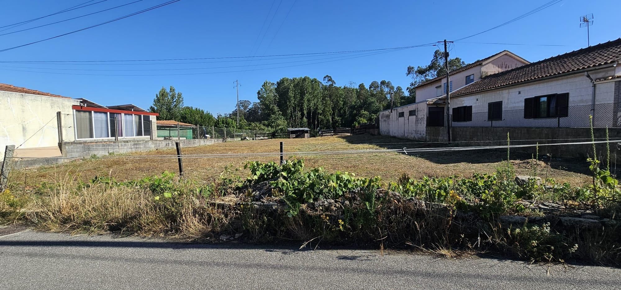 Terreno