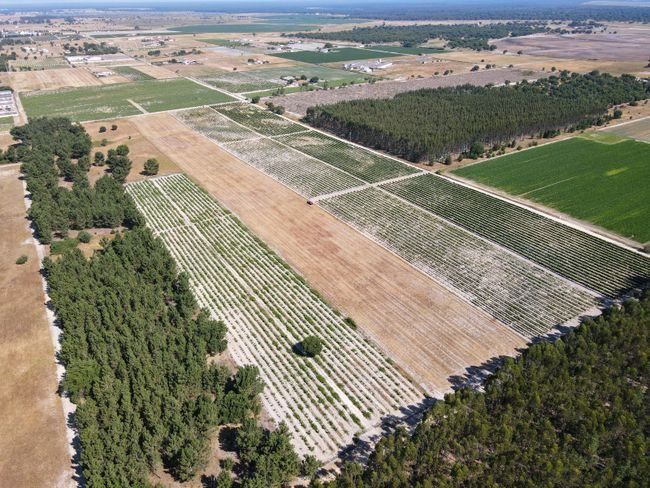 Terreno