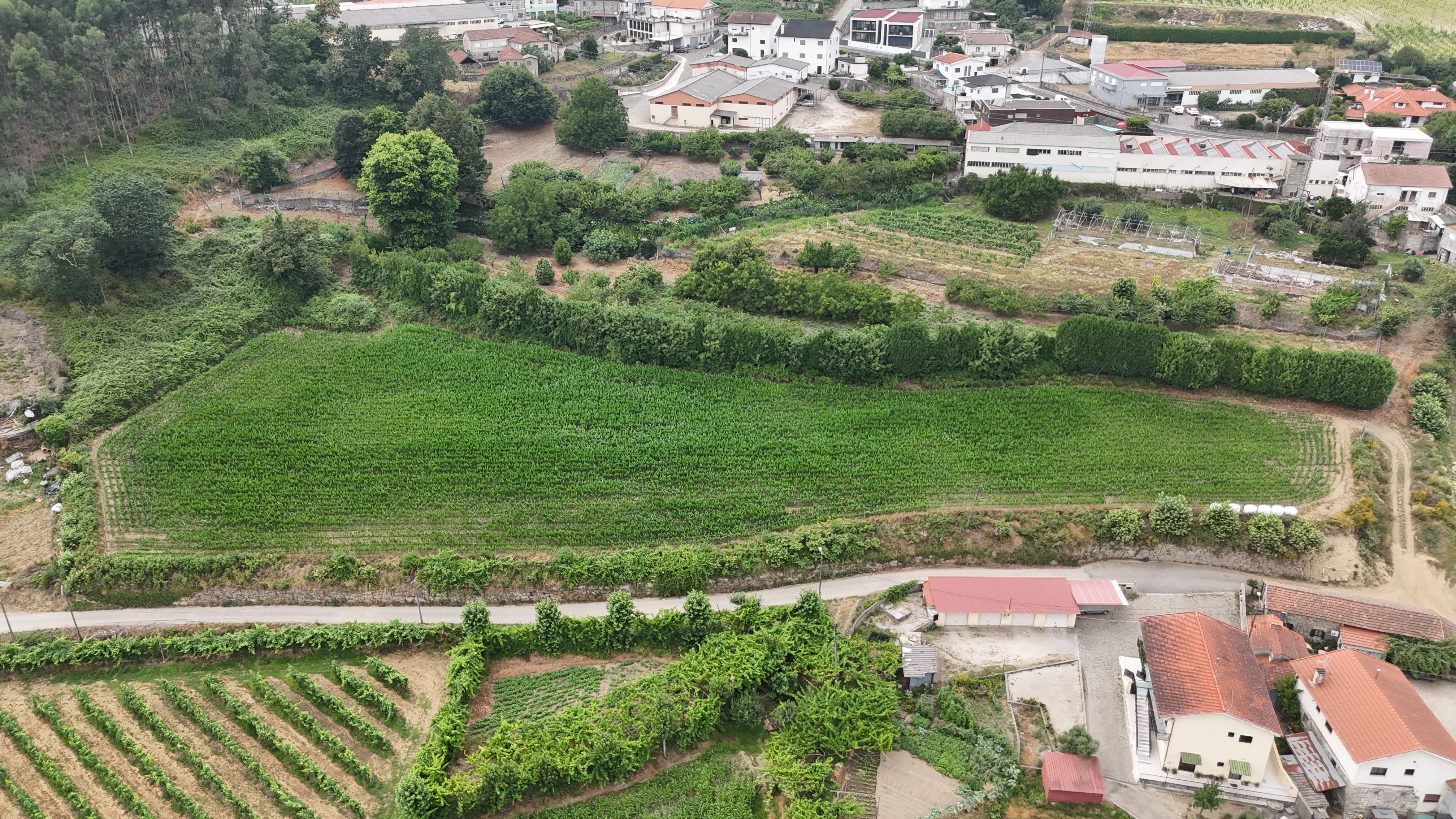 Terreno