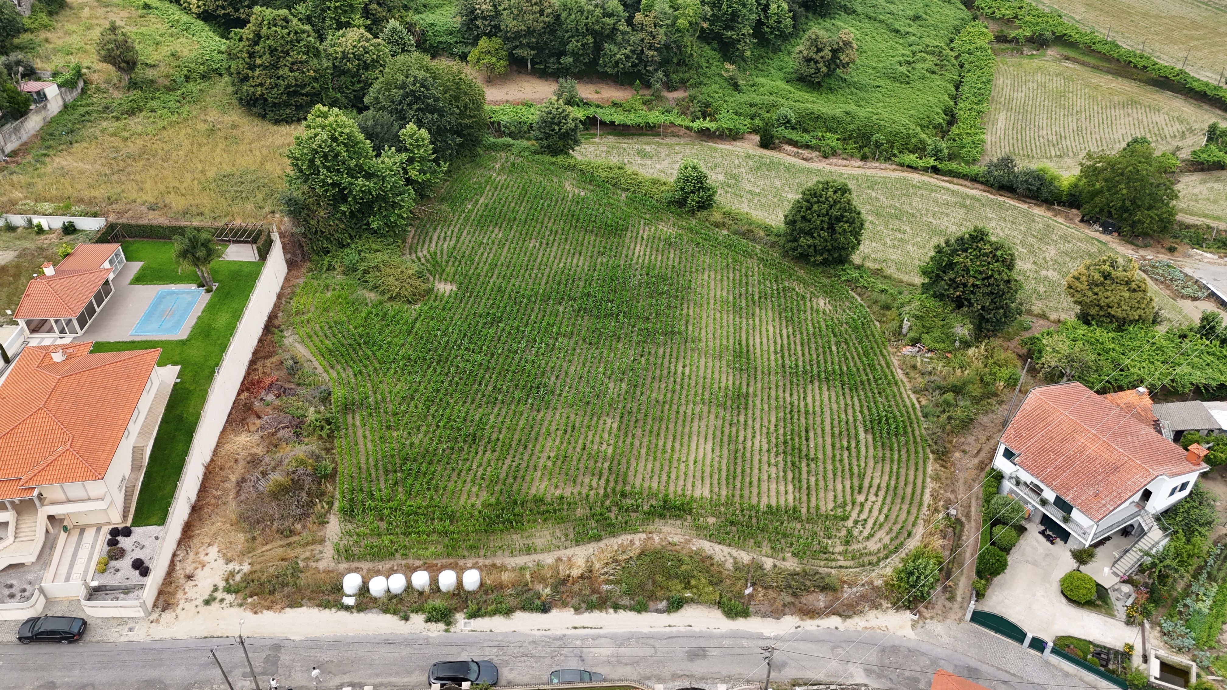 Terreno