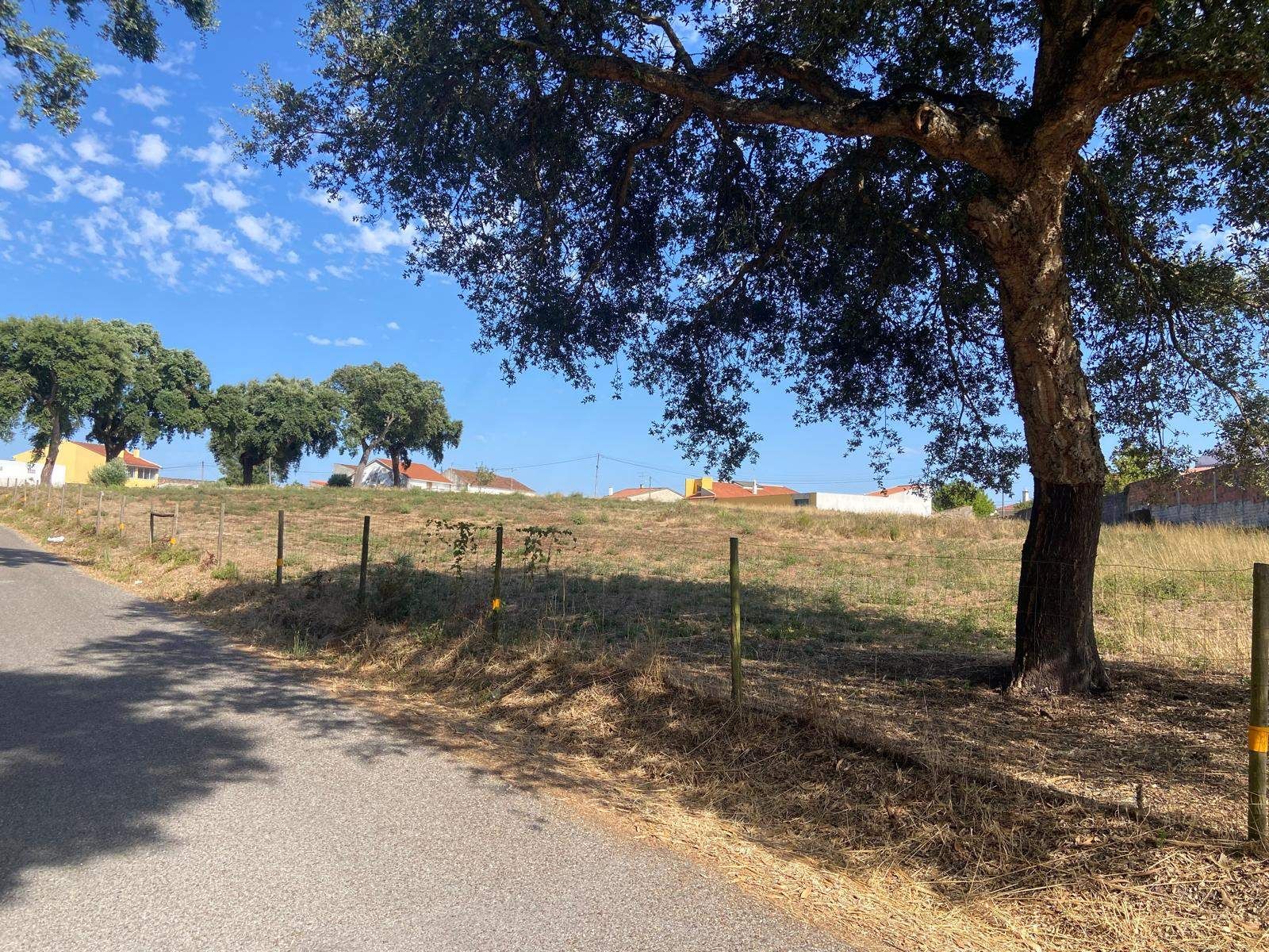 Terreno