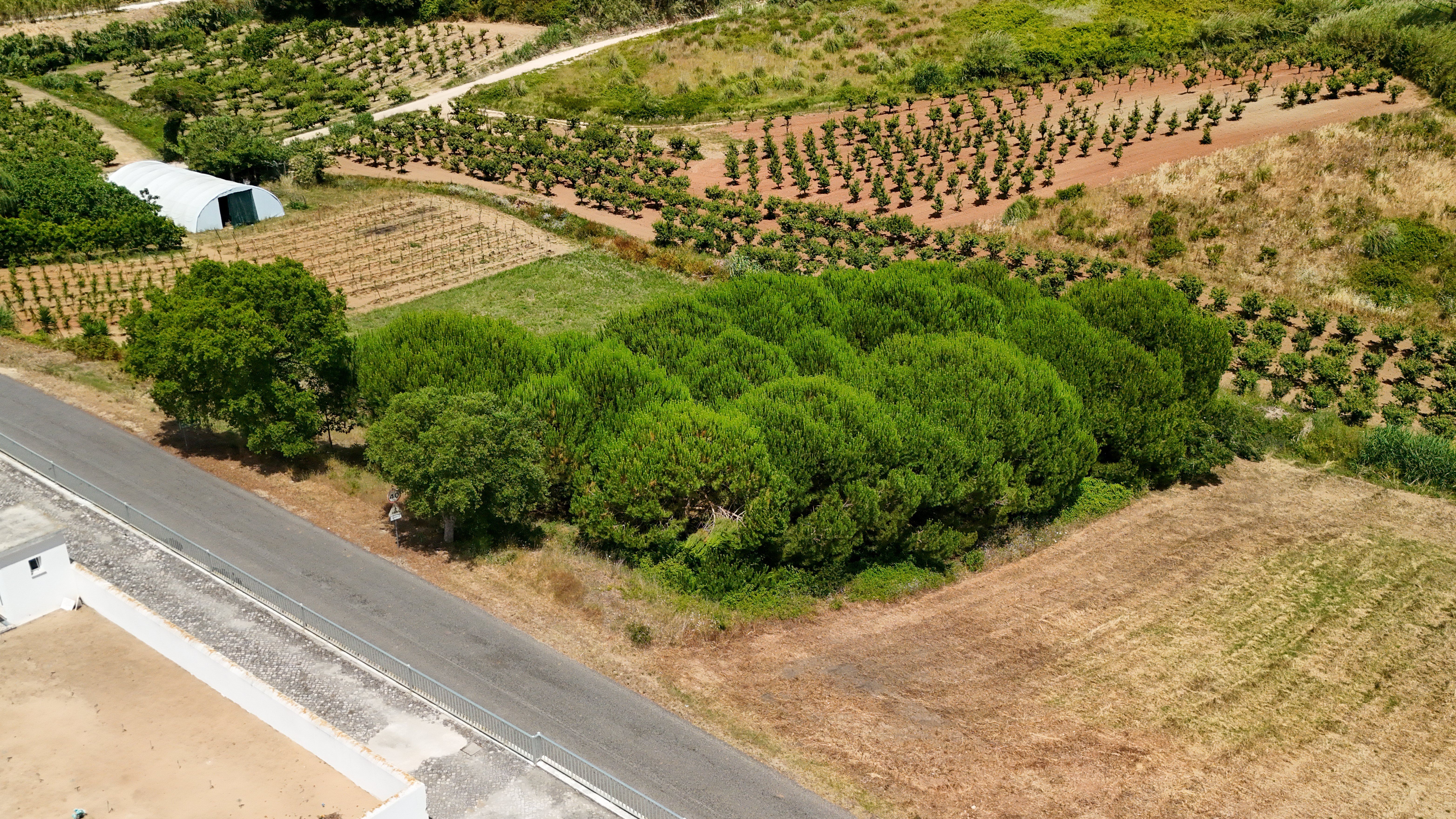Terreno