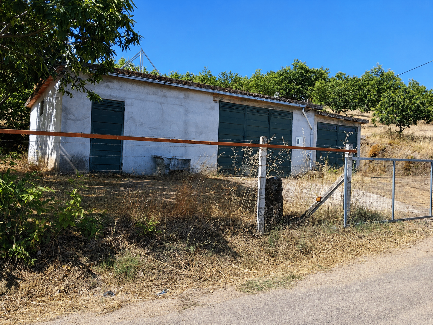 Terreno