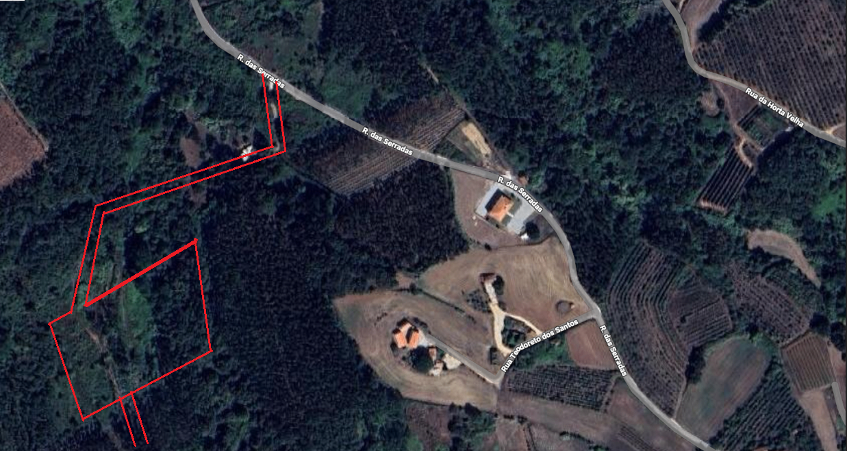 Terreno