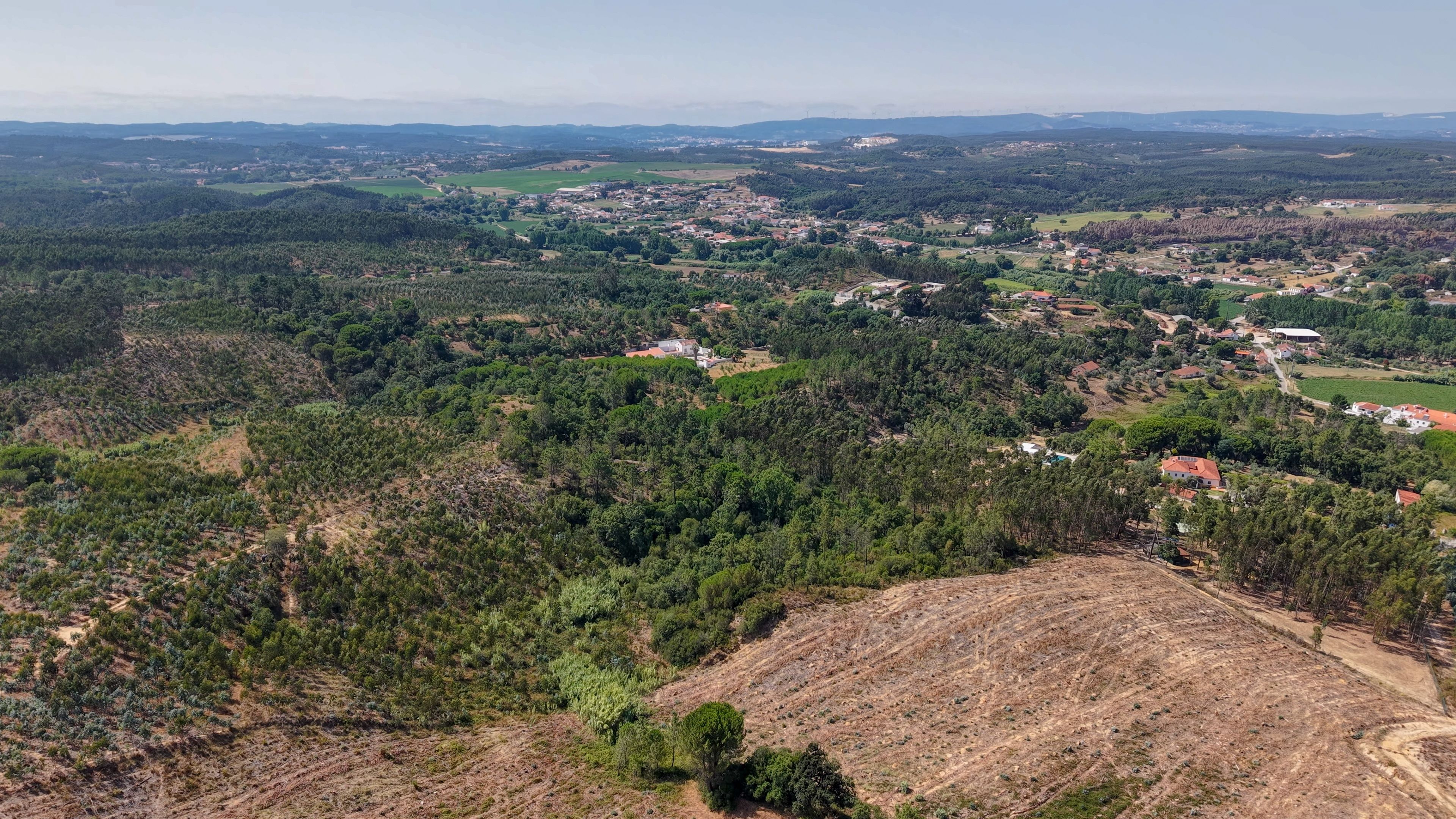 Terreno