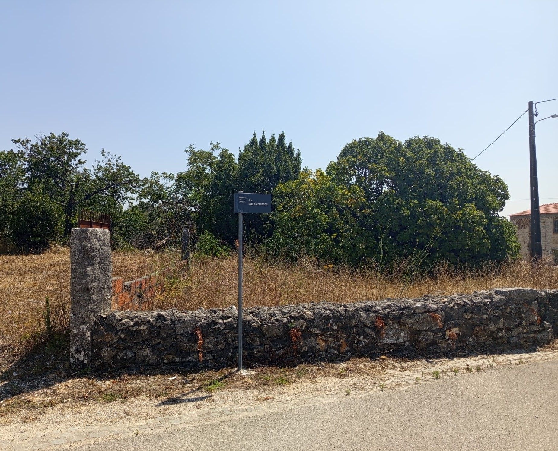 Terreno