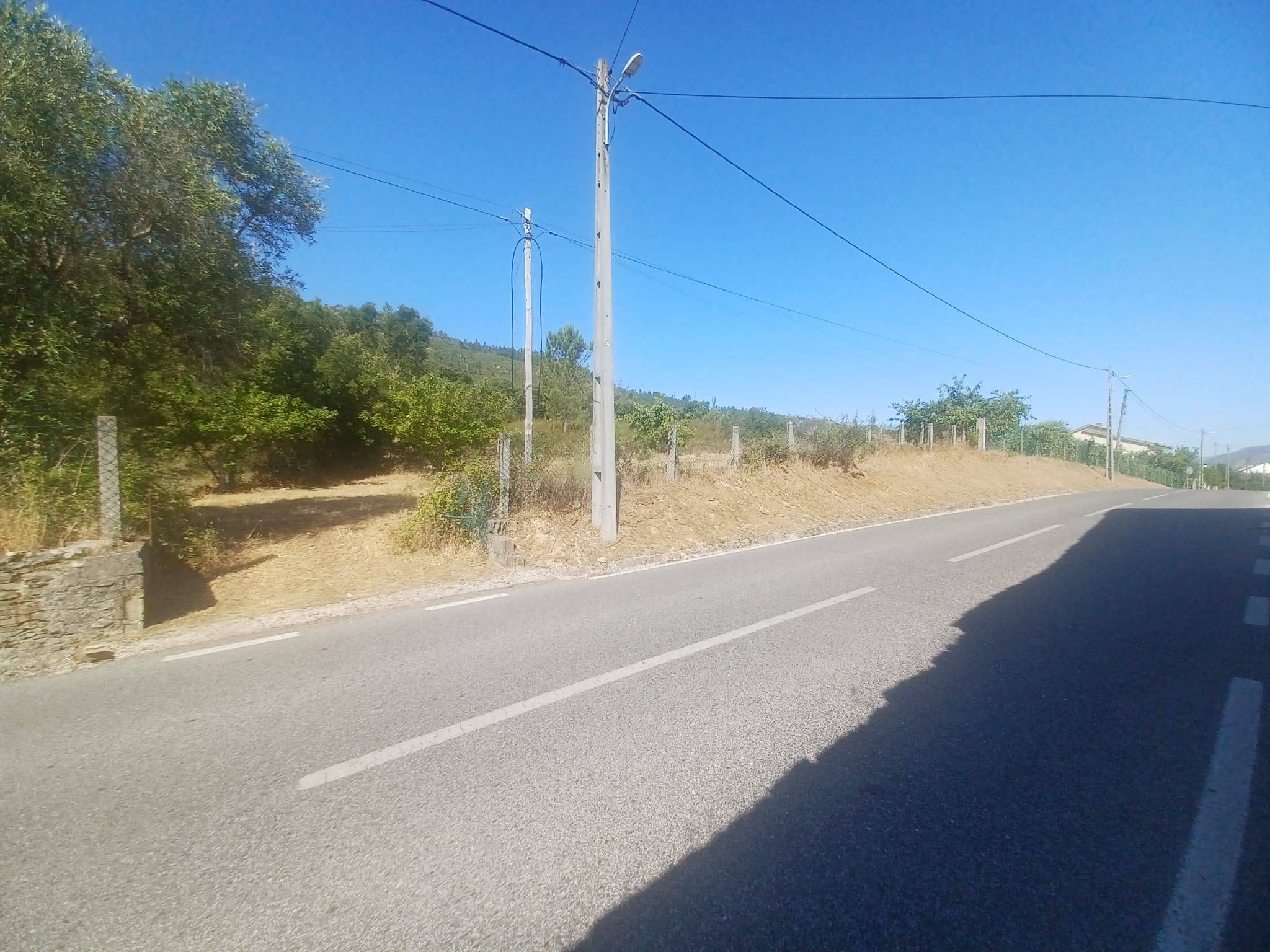 Terreno