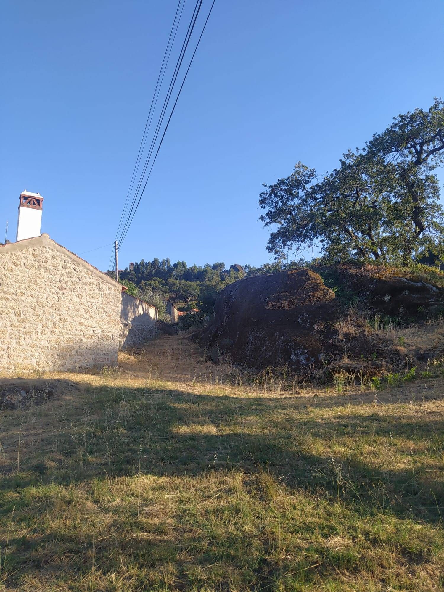 Terreno