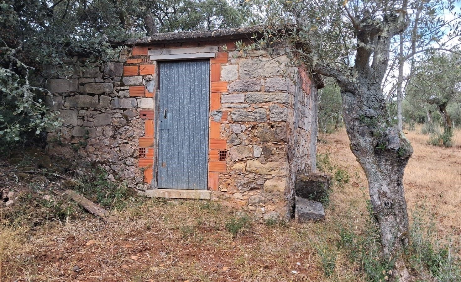 Terreno
