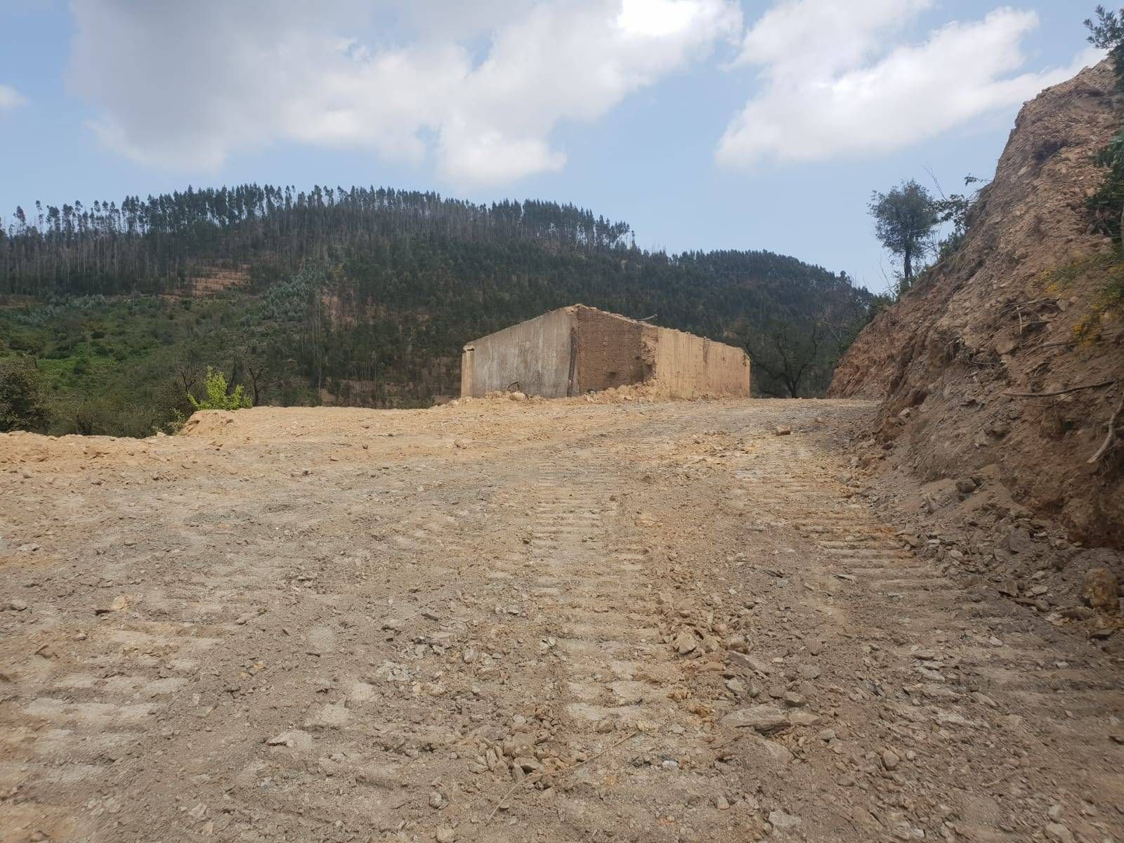 Terreno