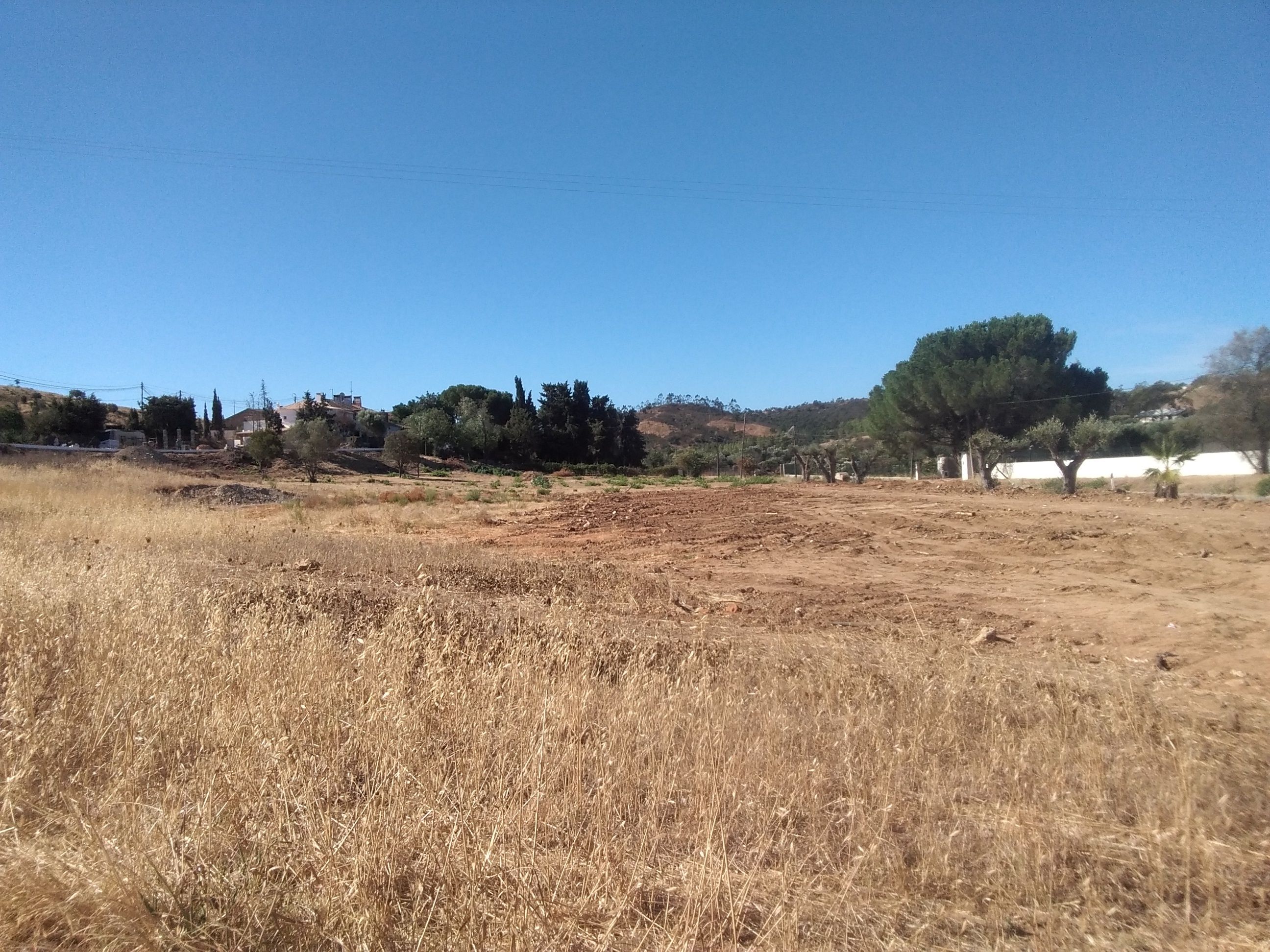 Terreno