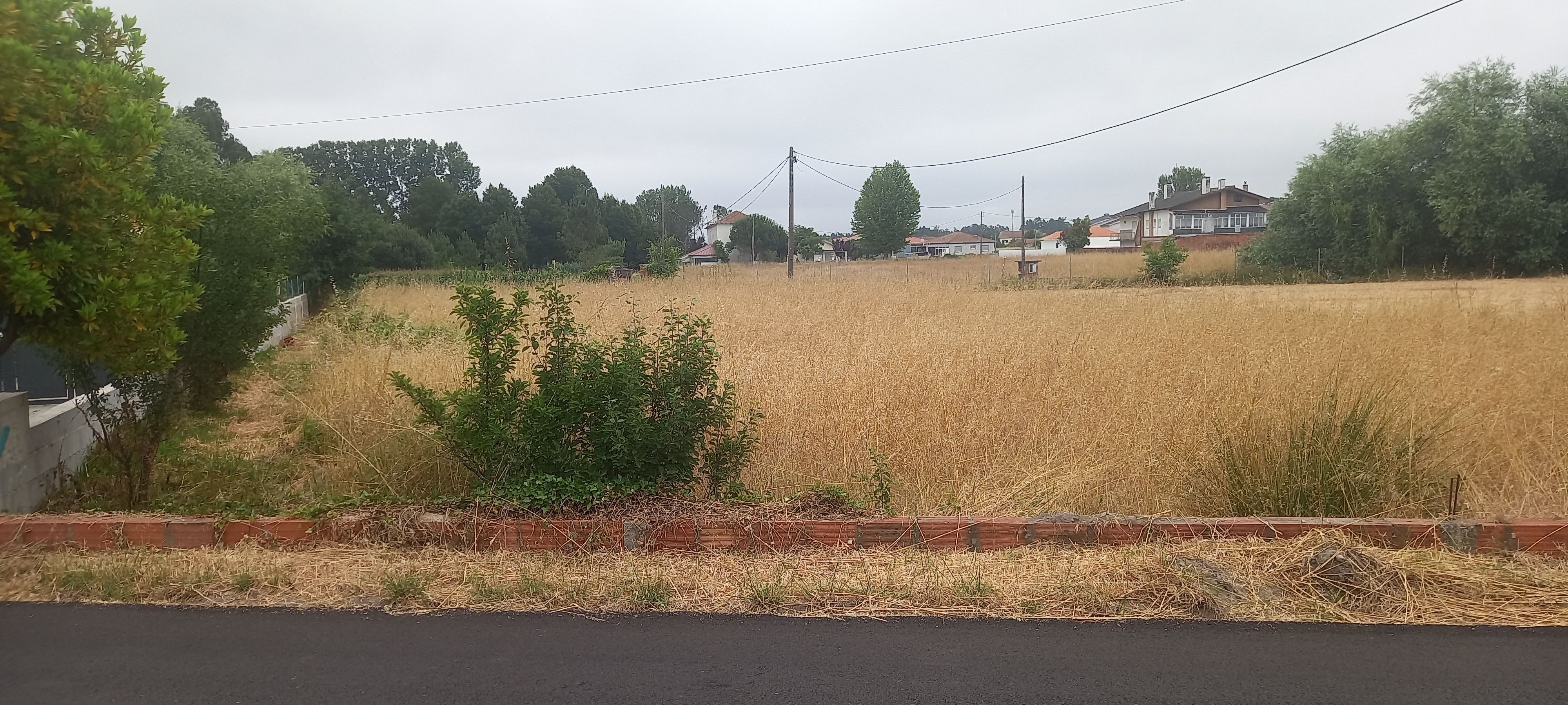 Terreno