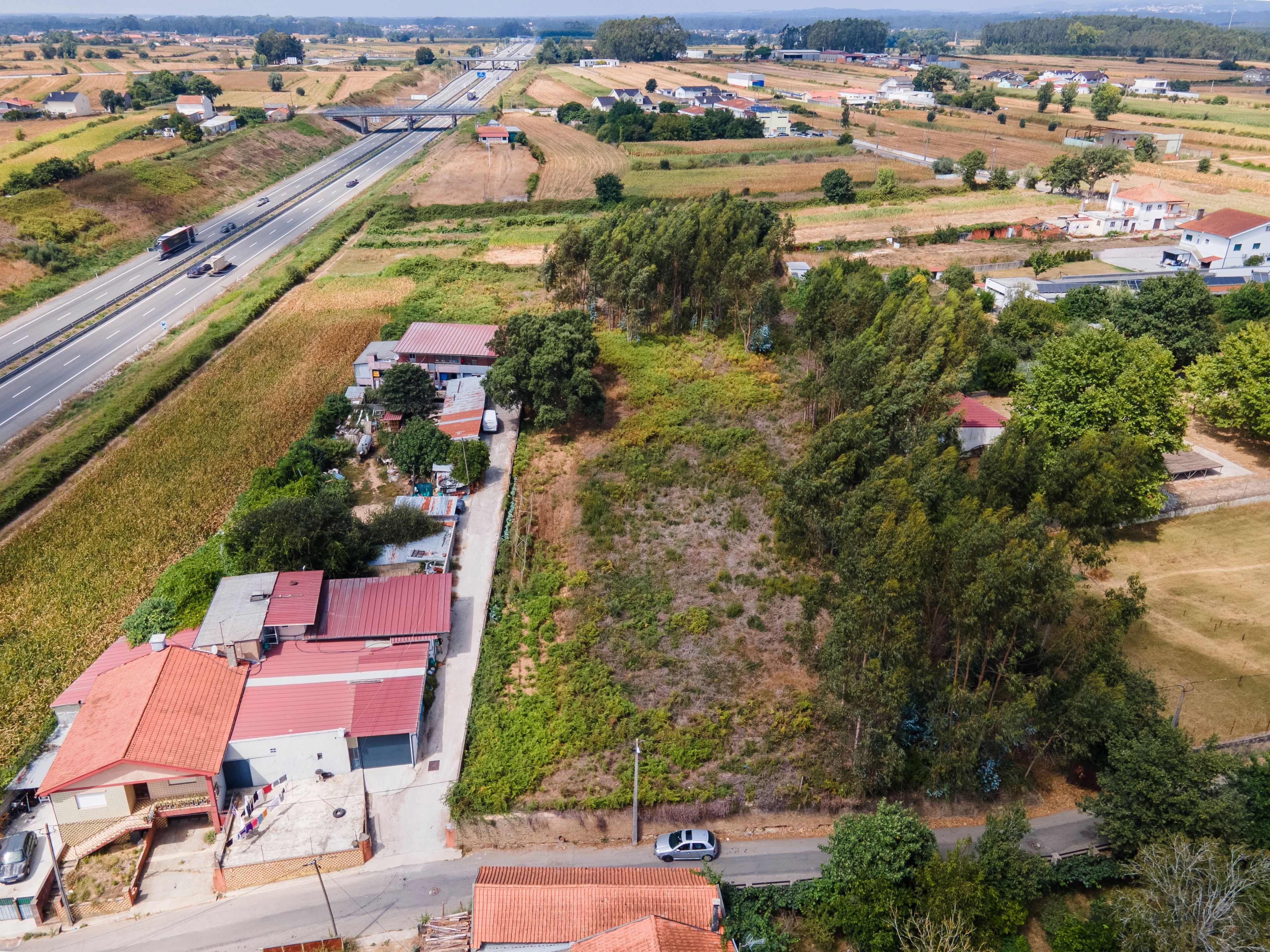 Terreno