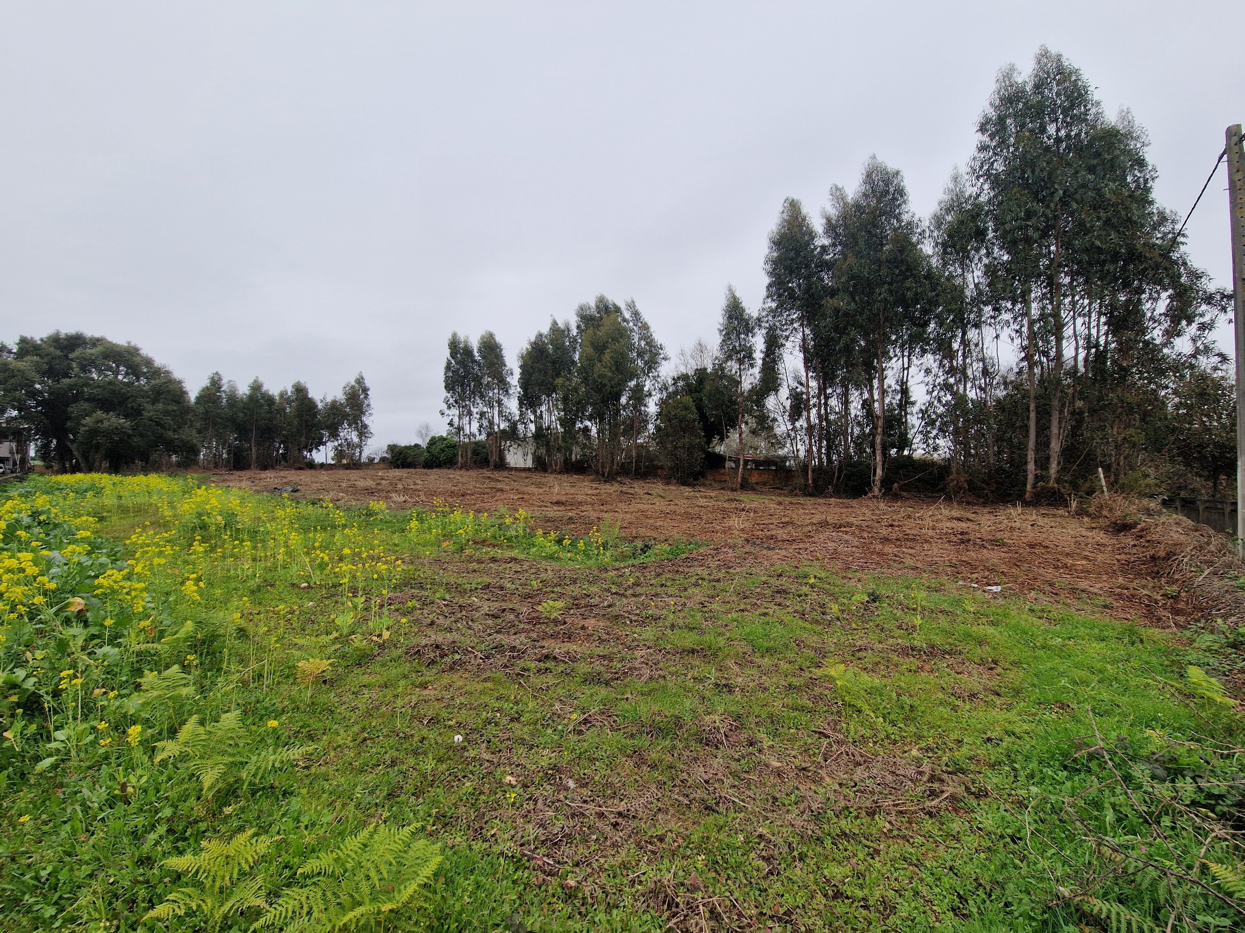 Terreno