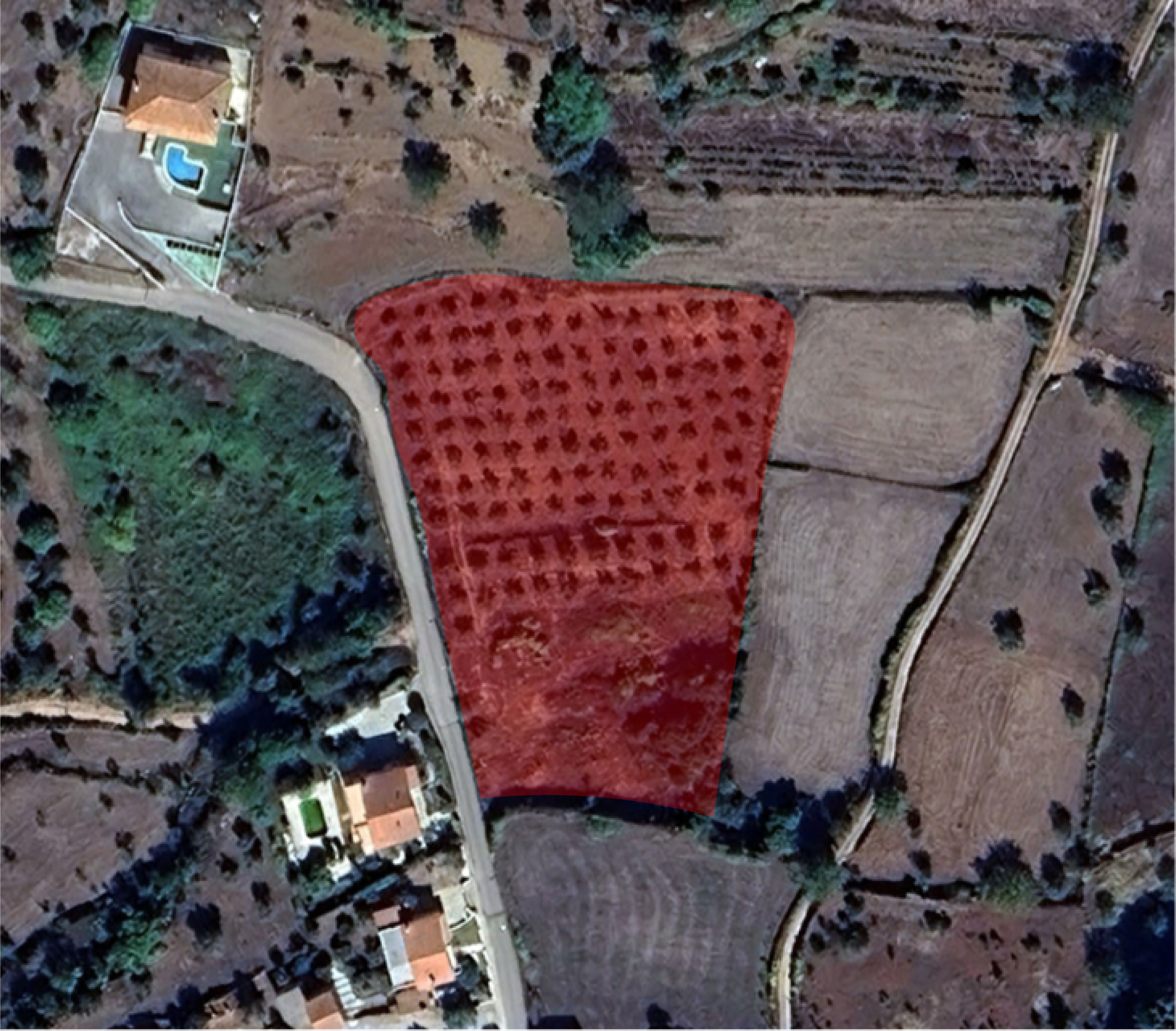 Terreno