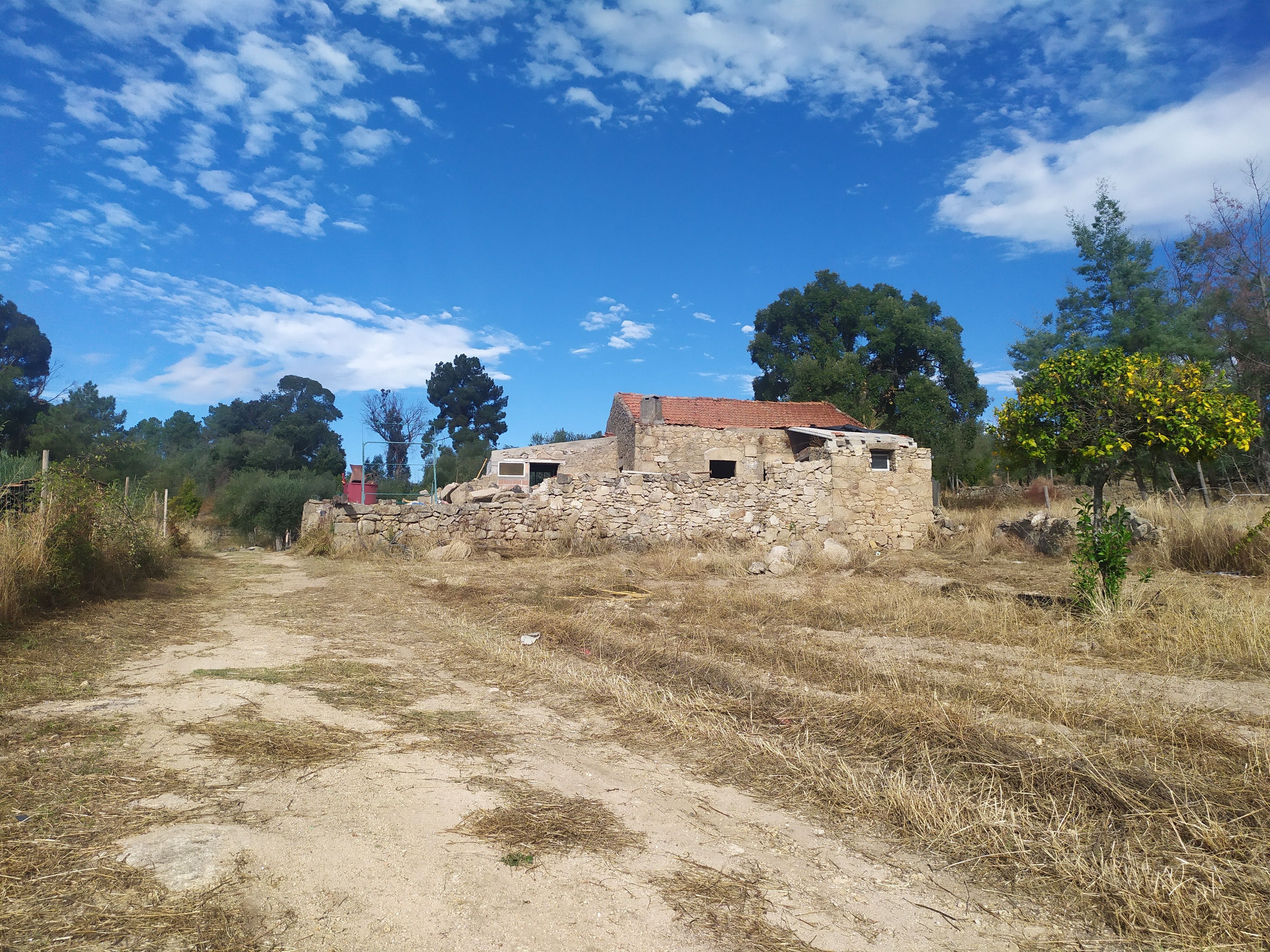 Terreno