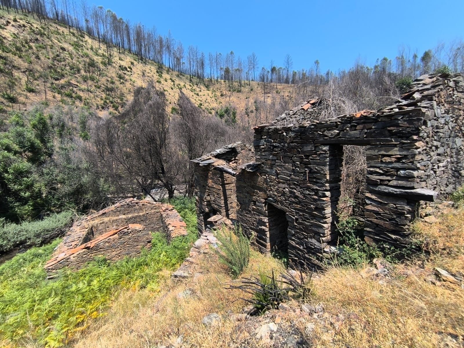 Terreno