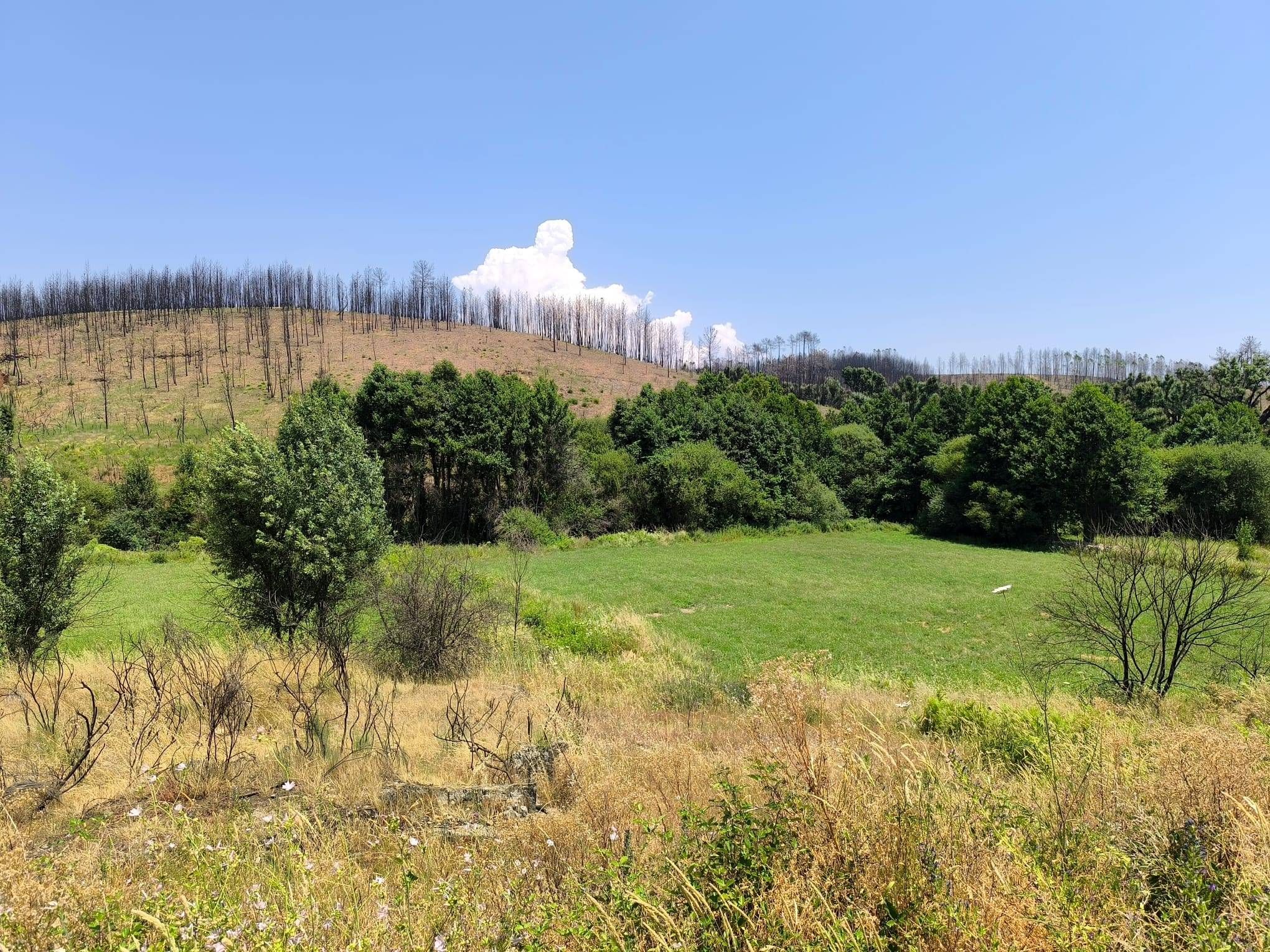 Terreno