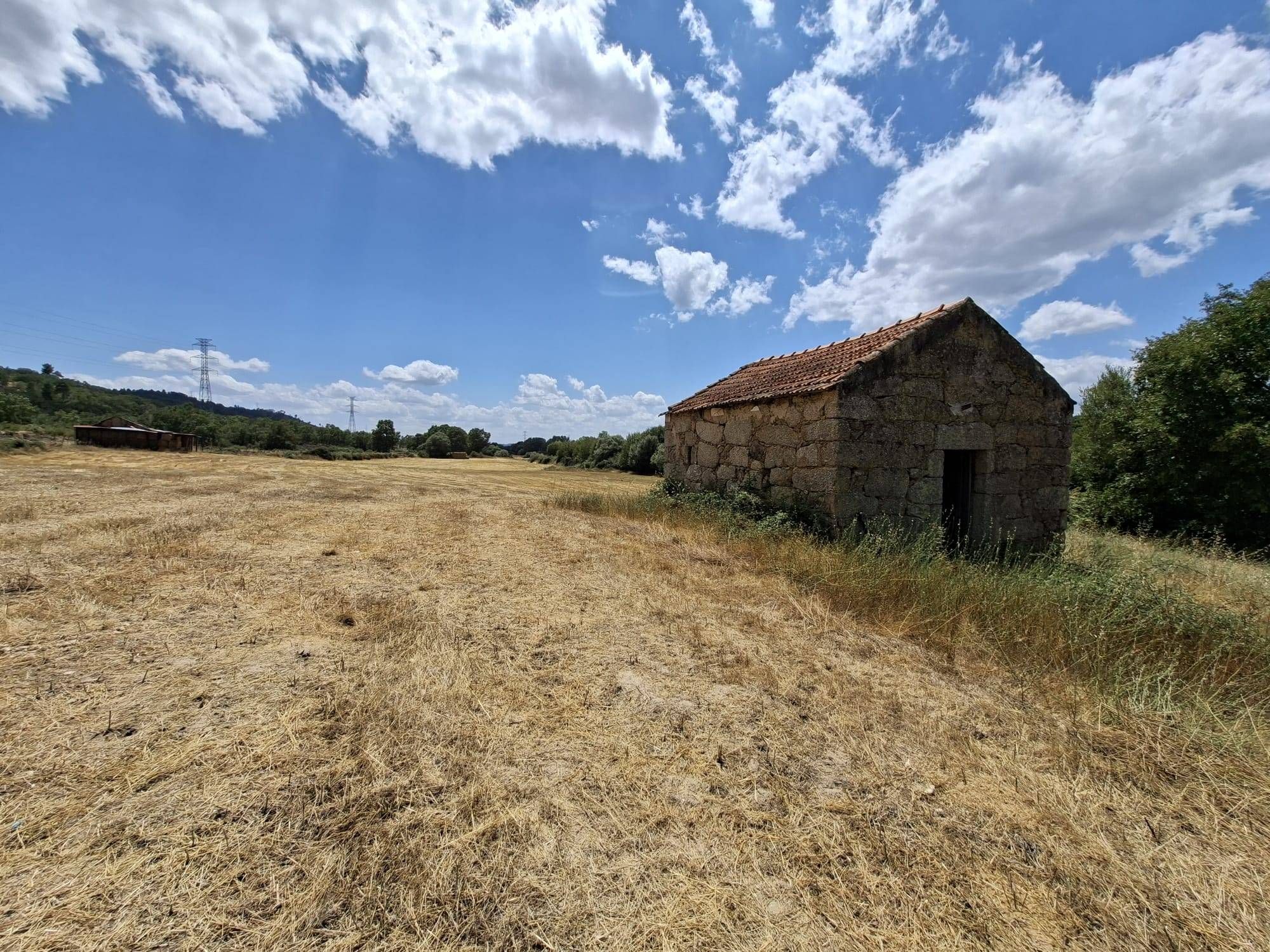 Terreno