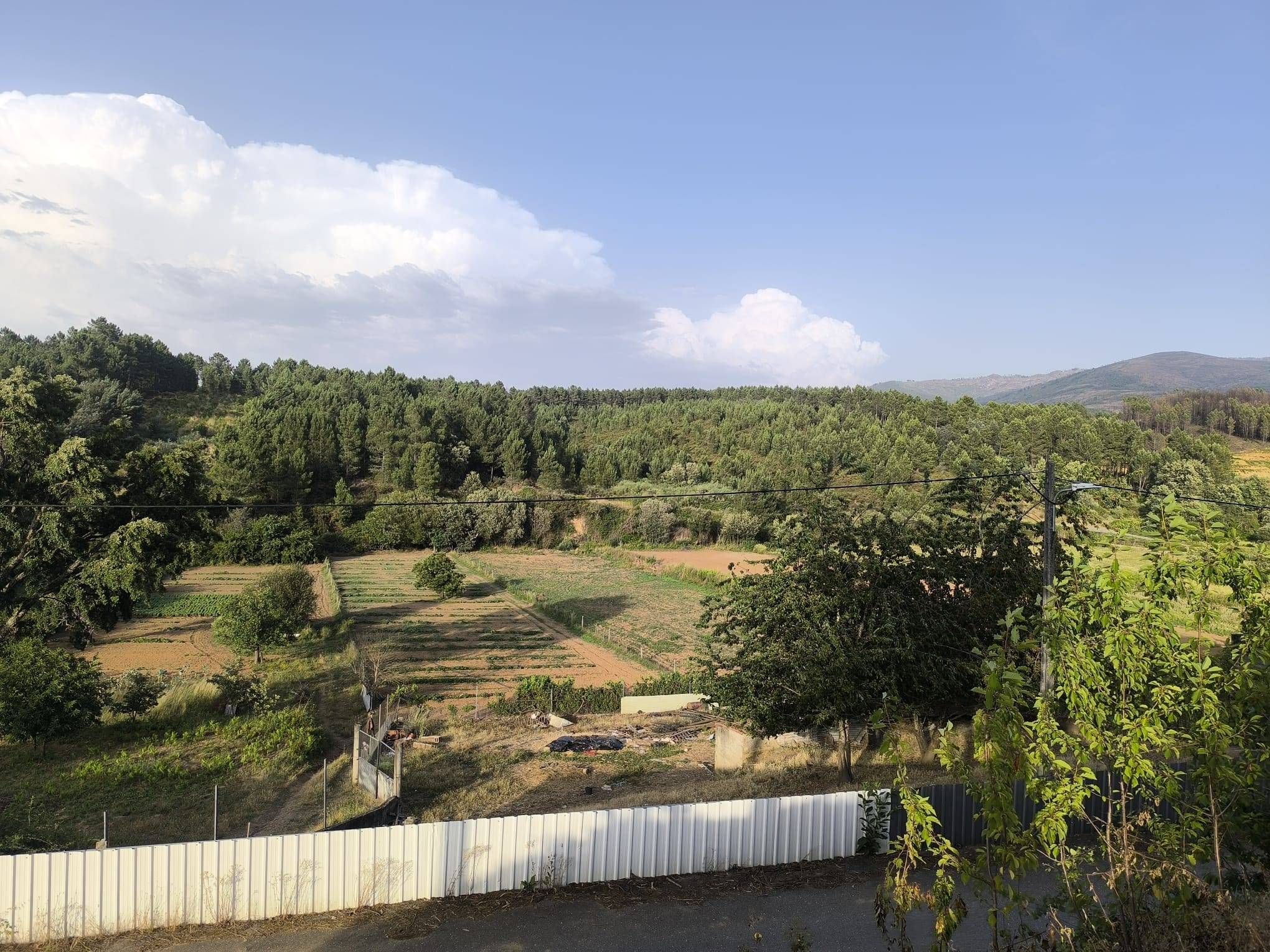 Terreno