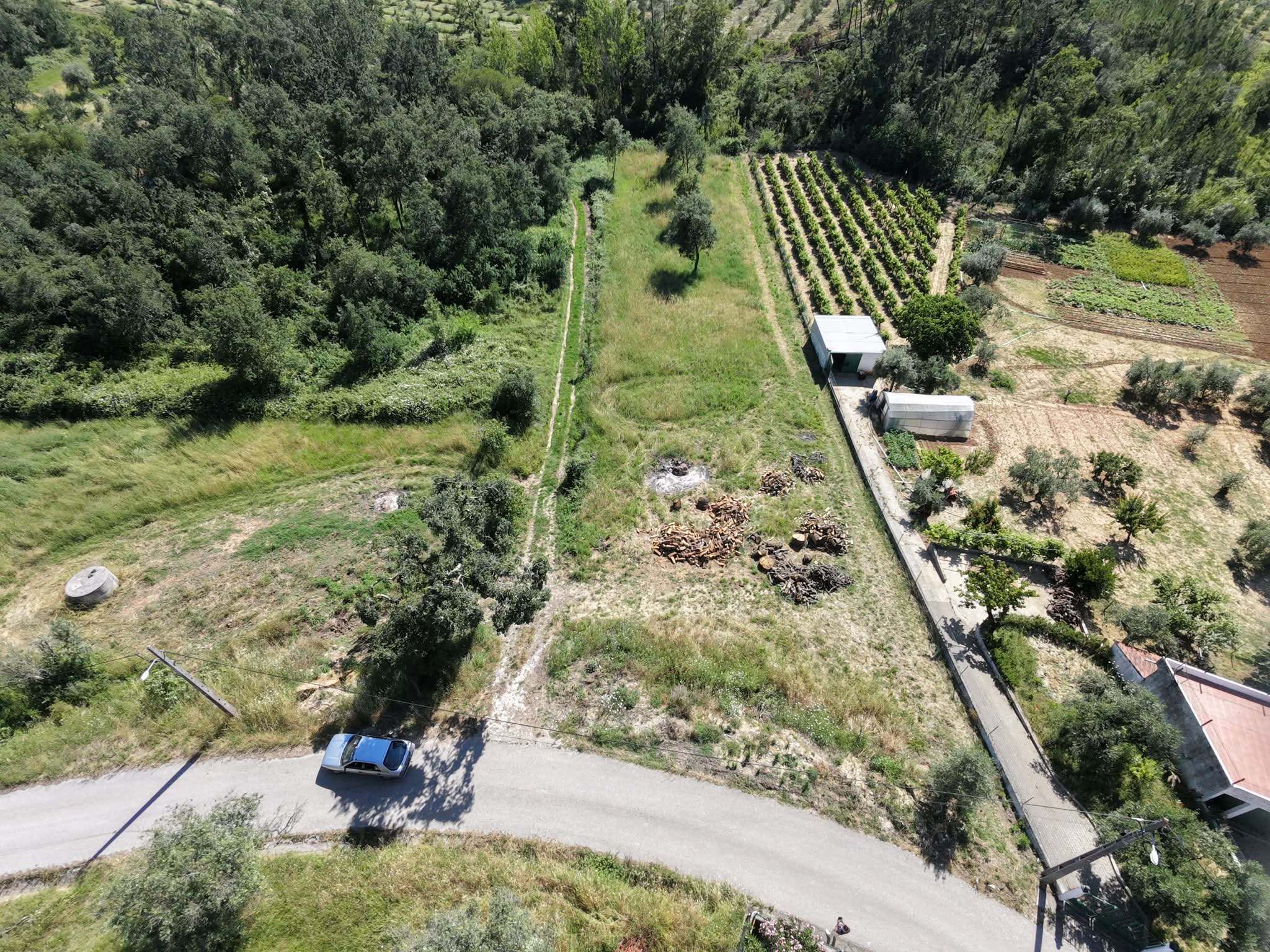 Terreno