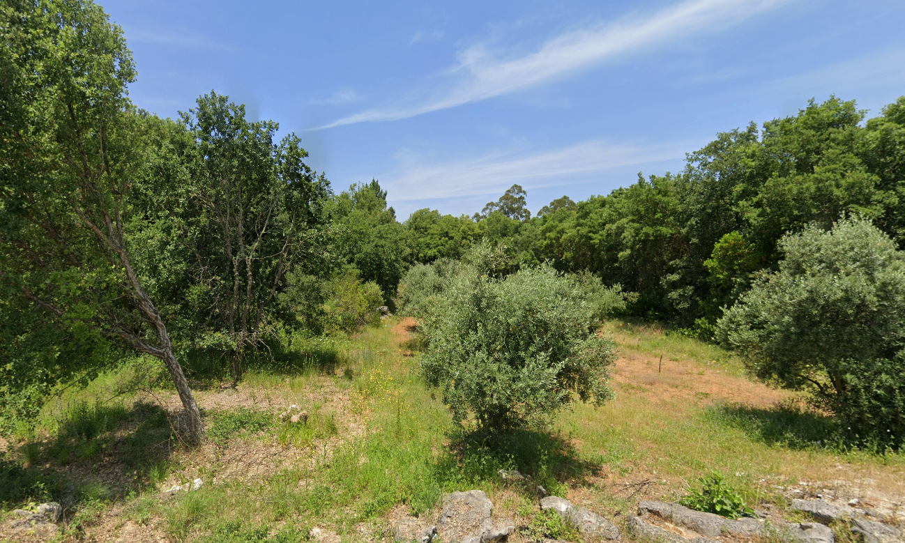 Terreno