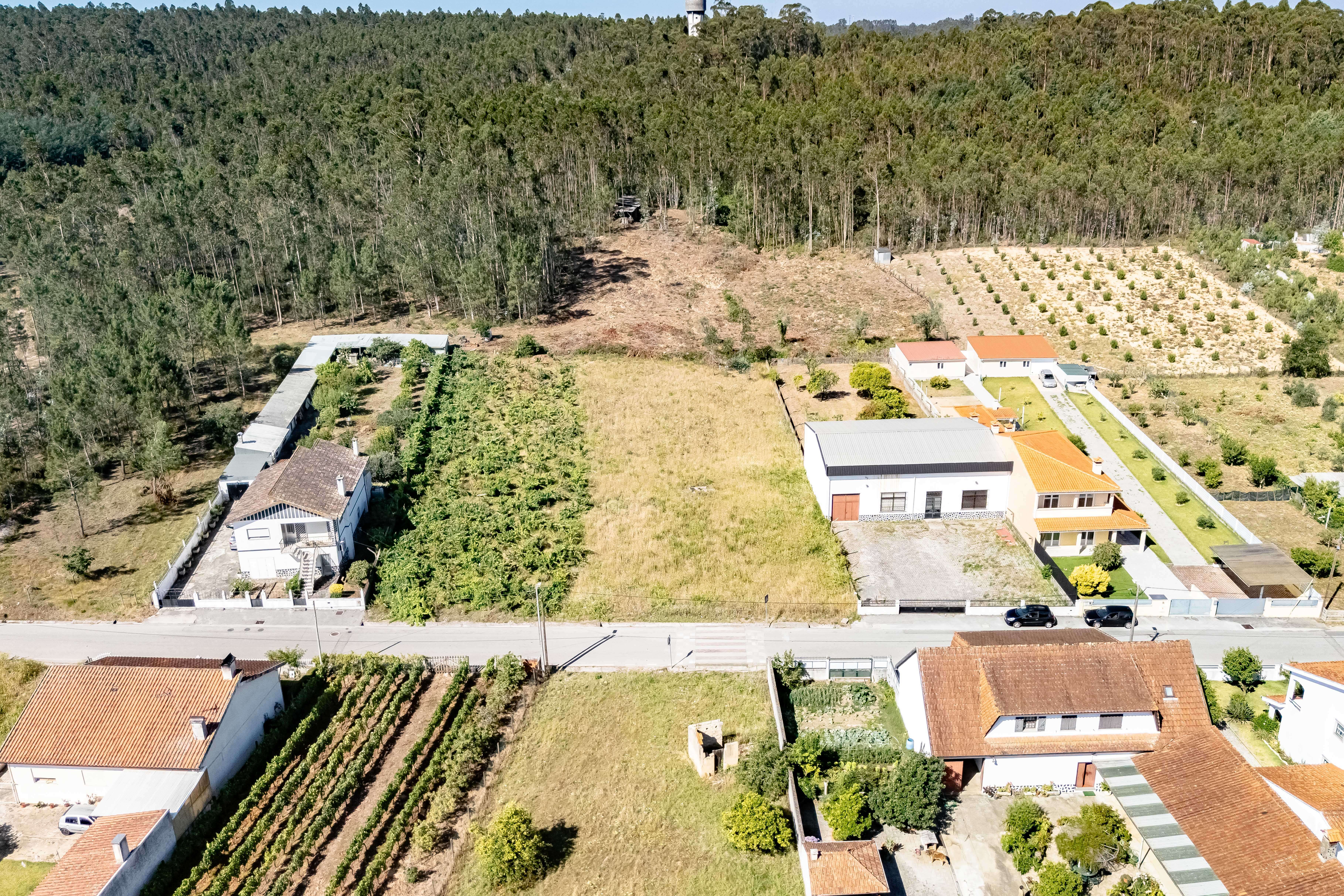 Terreno