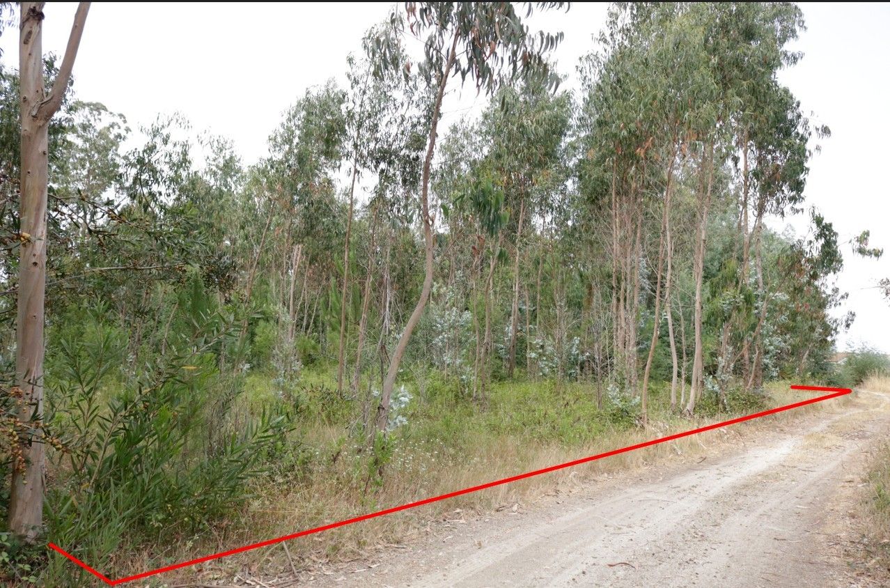 Terreno