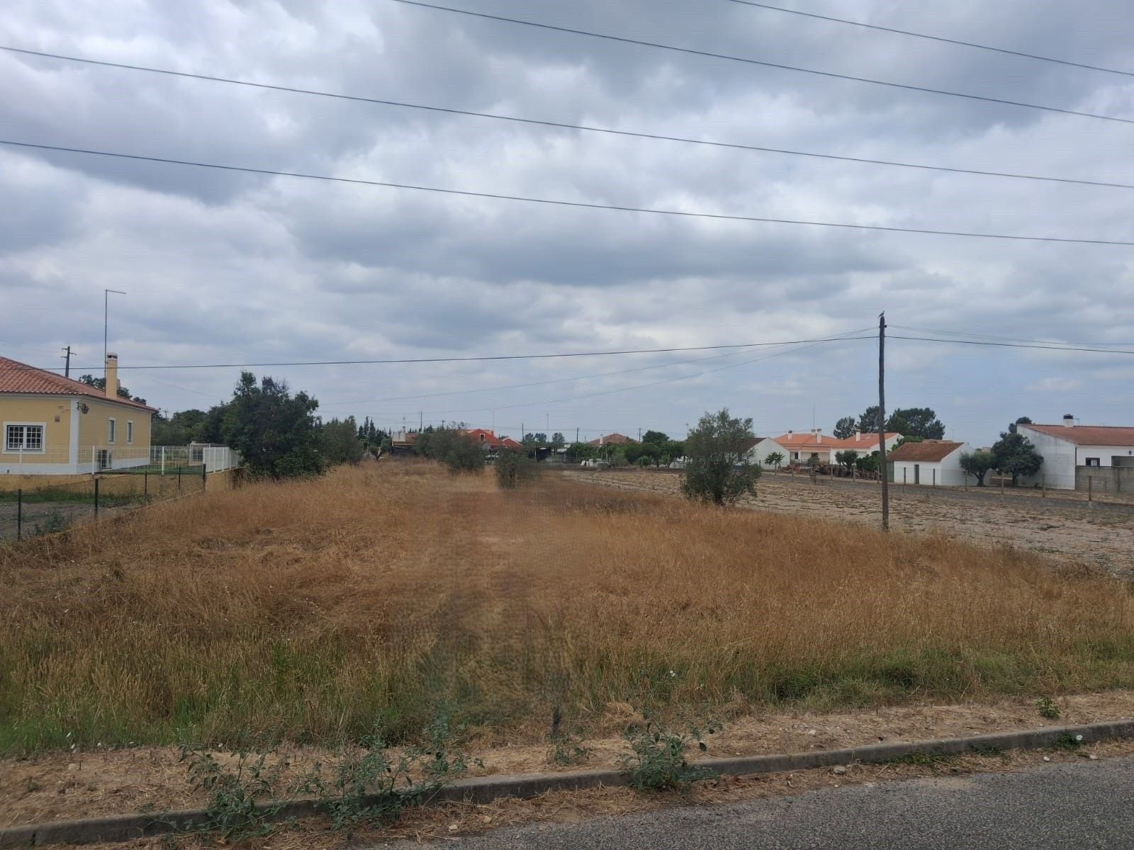 Terreno