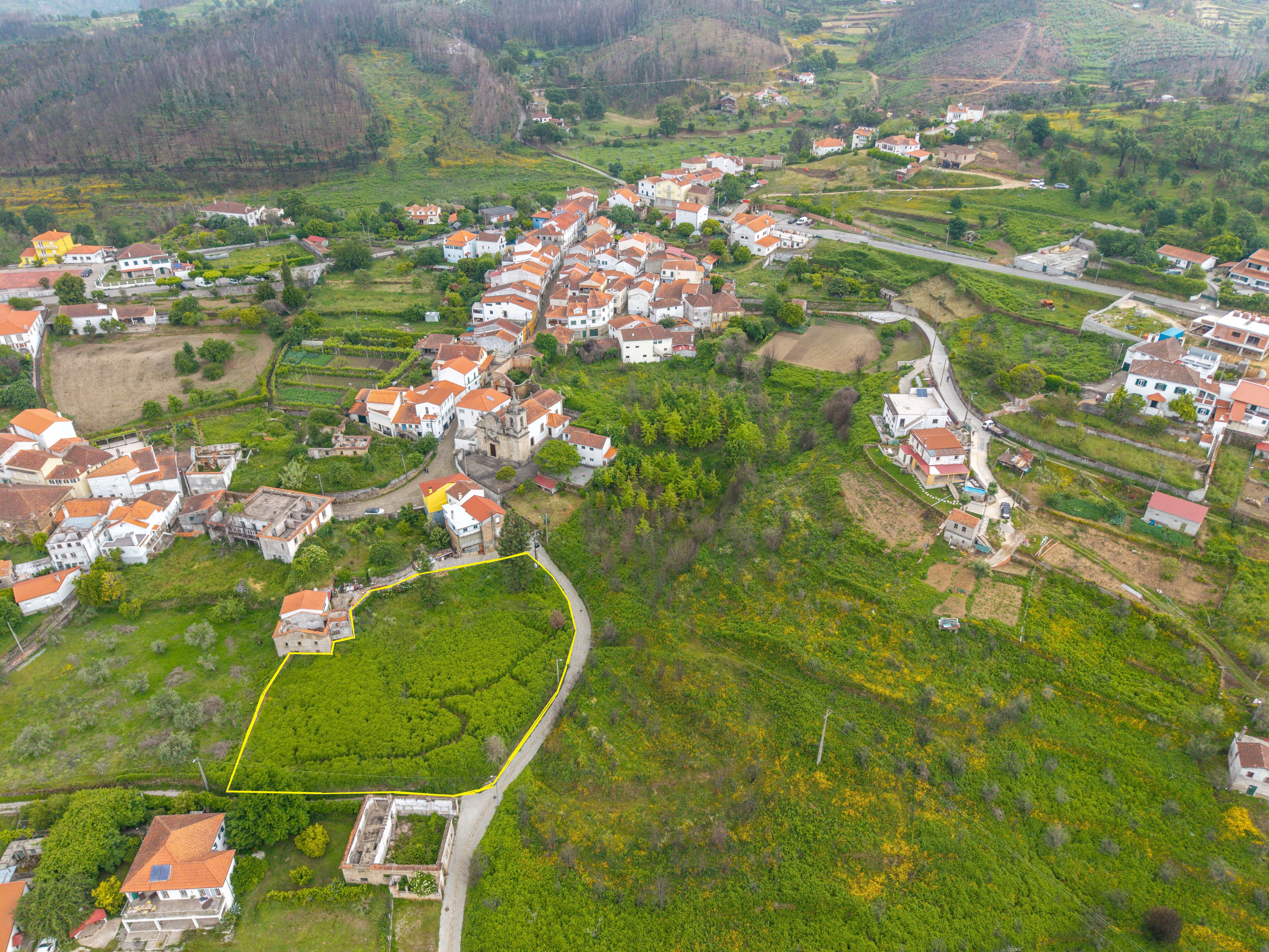 Terreno