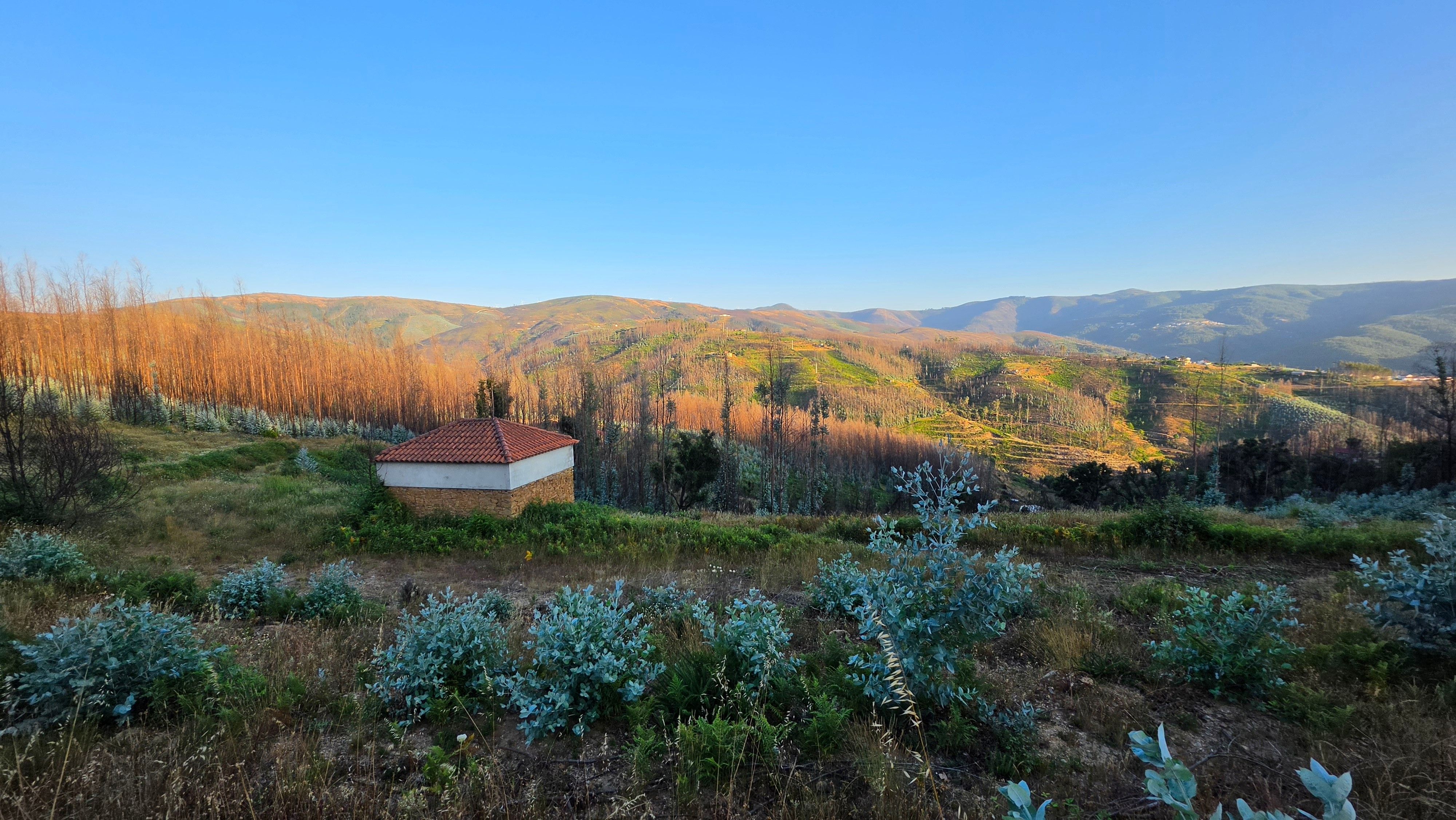 Terreno