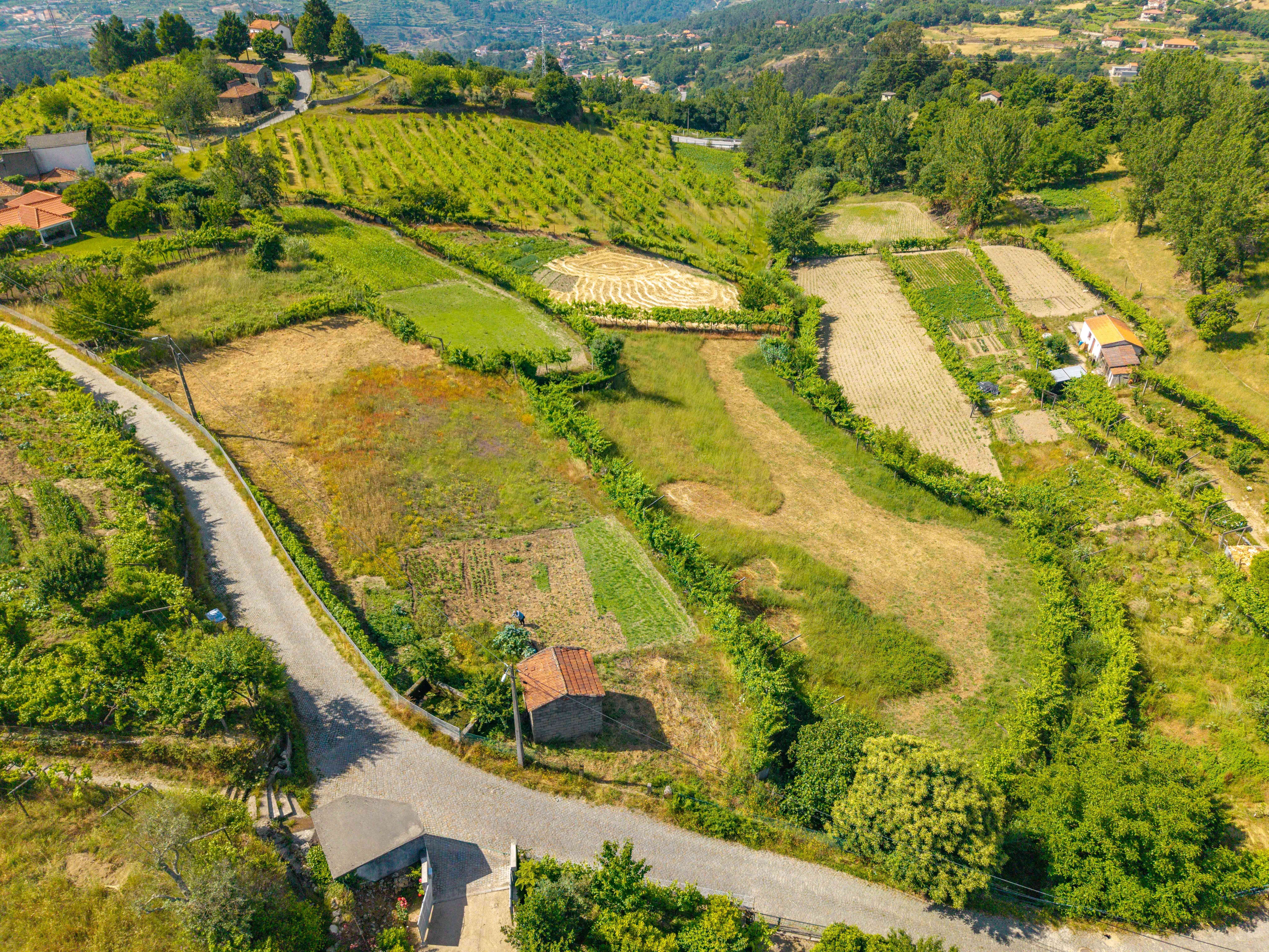 Terreno