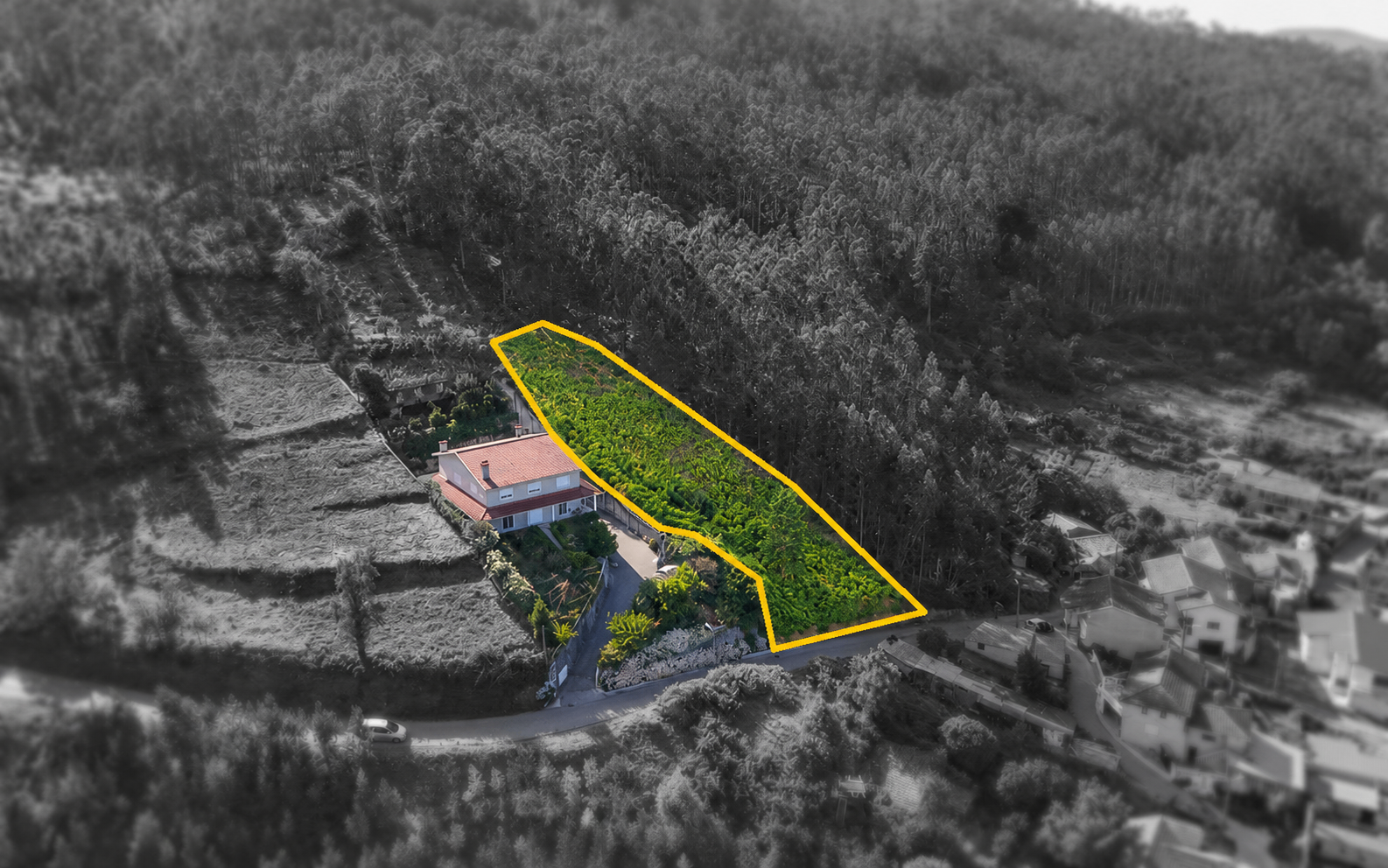 Terreno