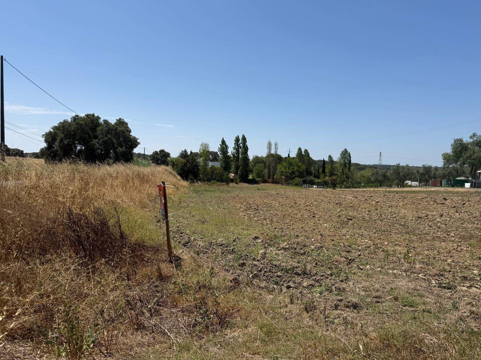 Terreno