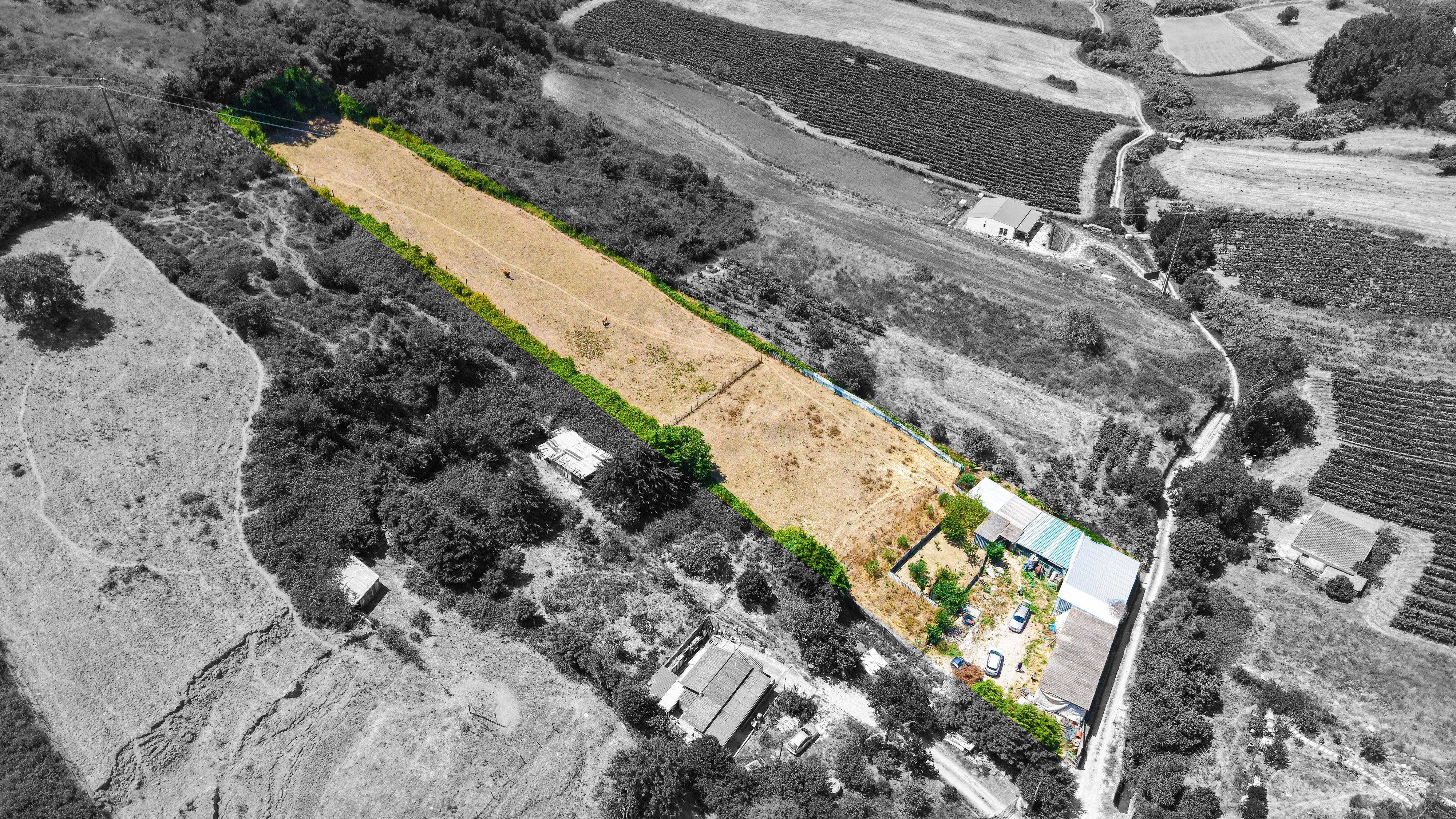 Terreno